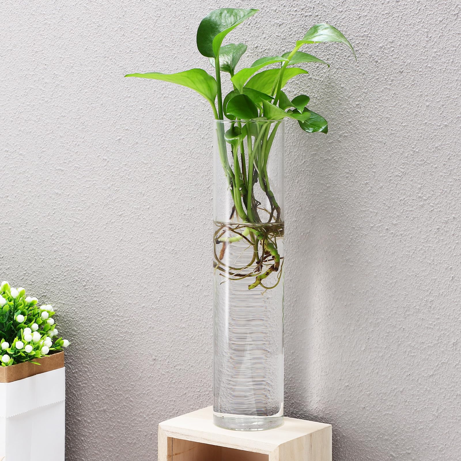 BESPORTBLE Set di vasi cilindrici da parete in vetro con superficie liscia e facile da pulire, 2 pezzi, supporto per piante acquatiche da appendere, terrario decorativo moderno per piante da interno