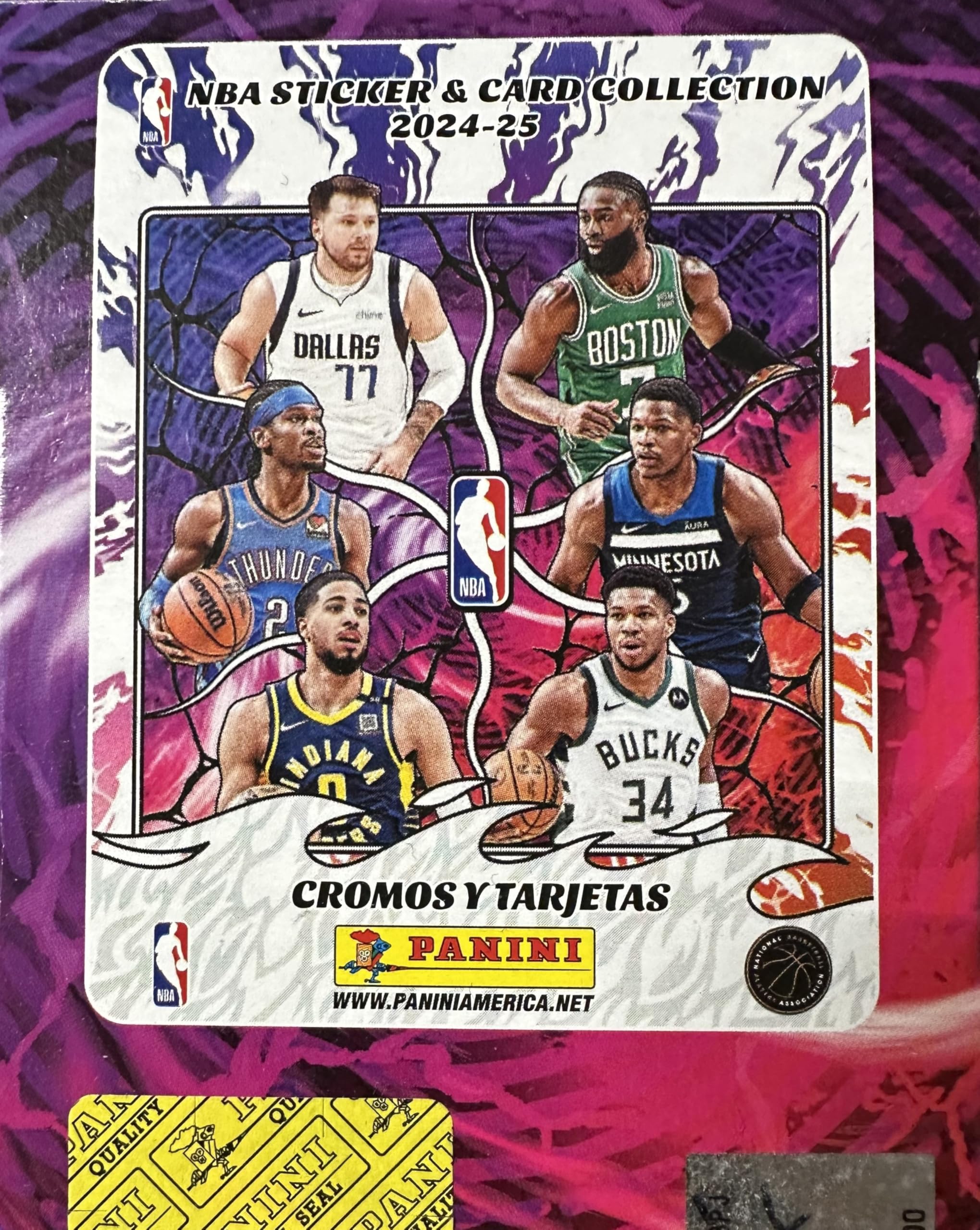 Amazon.com: 2024 2025 Panini BASKETBALL Sticker Collection