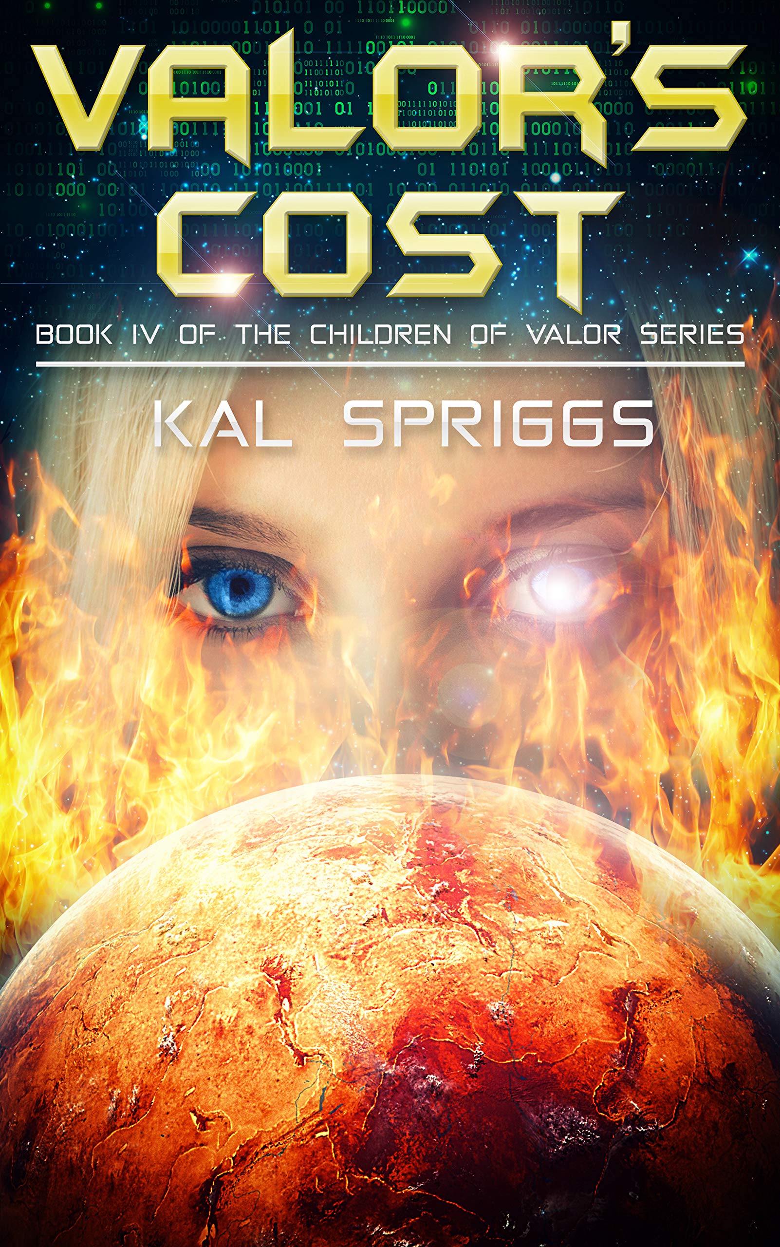 Cover of Valor's Cost