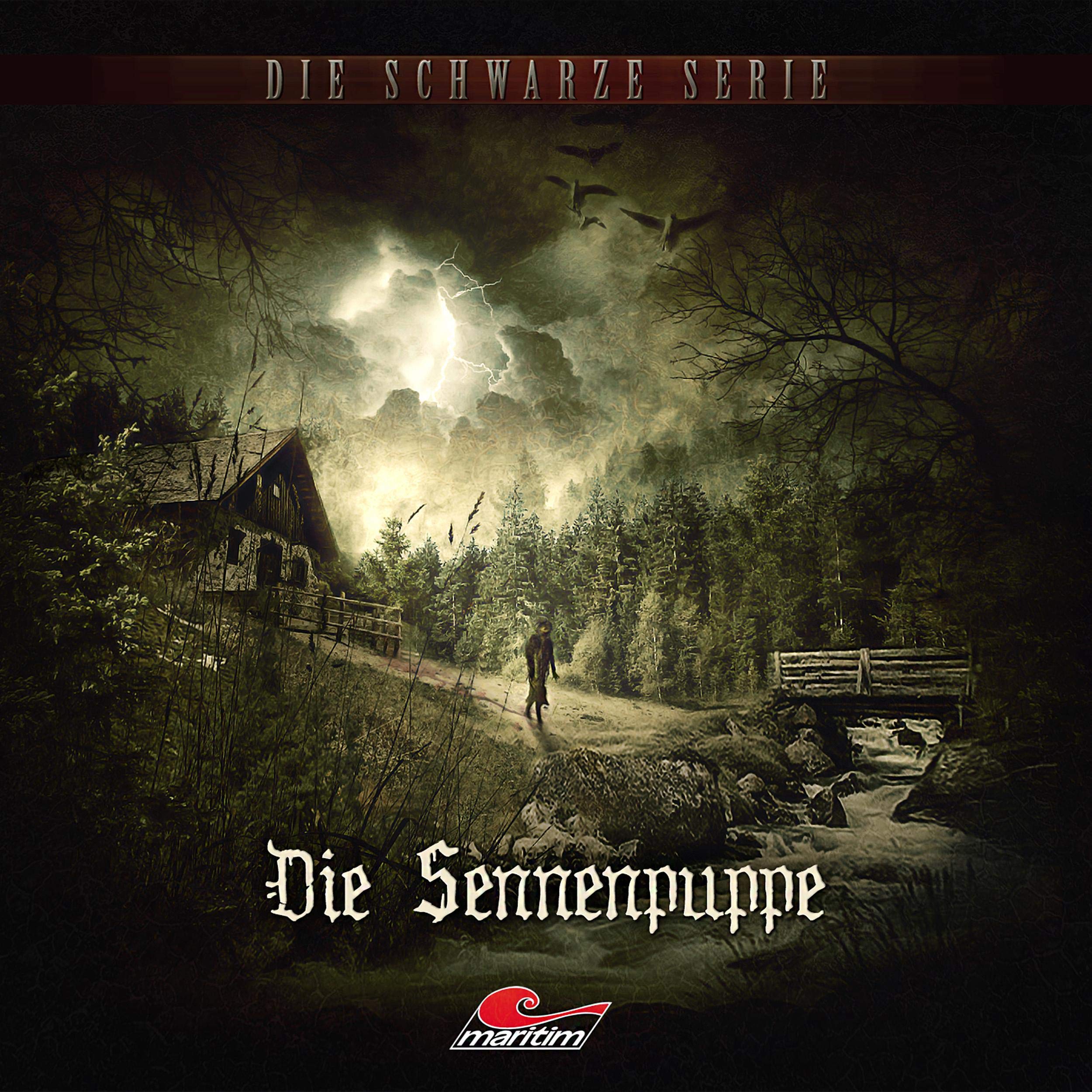 Cover art for Die Sennenpuppe