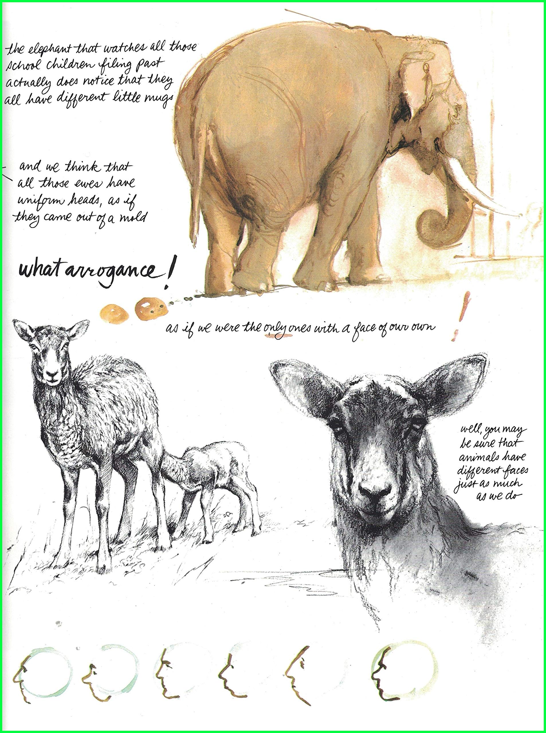 Noah's Ark