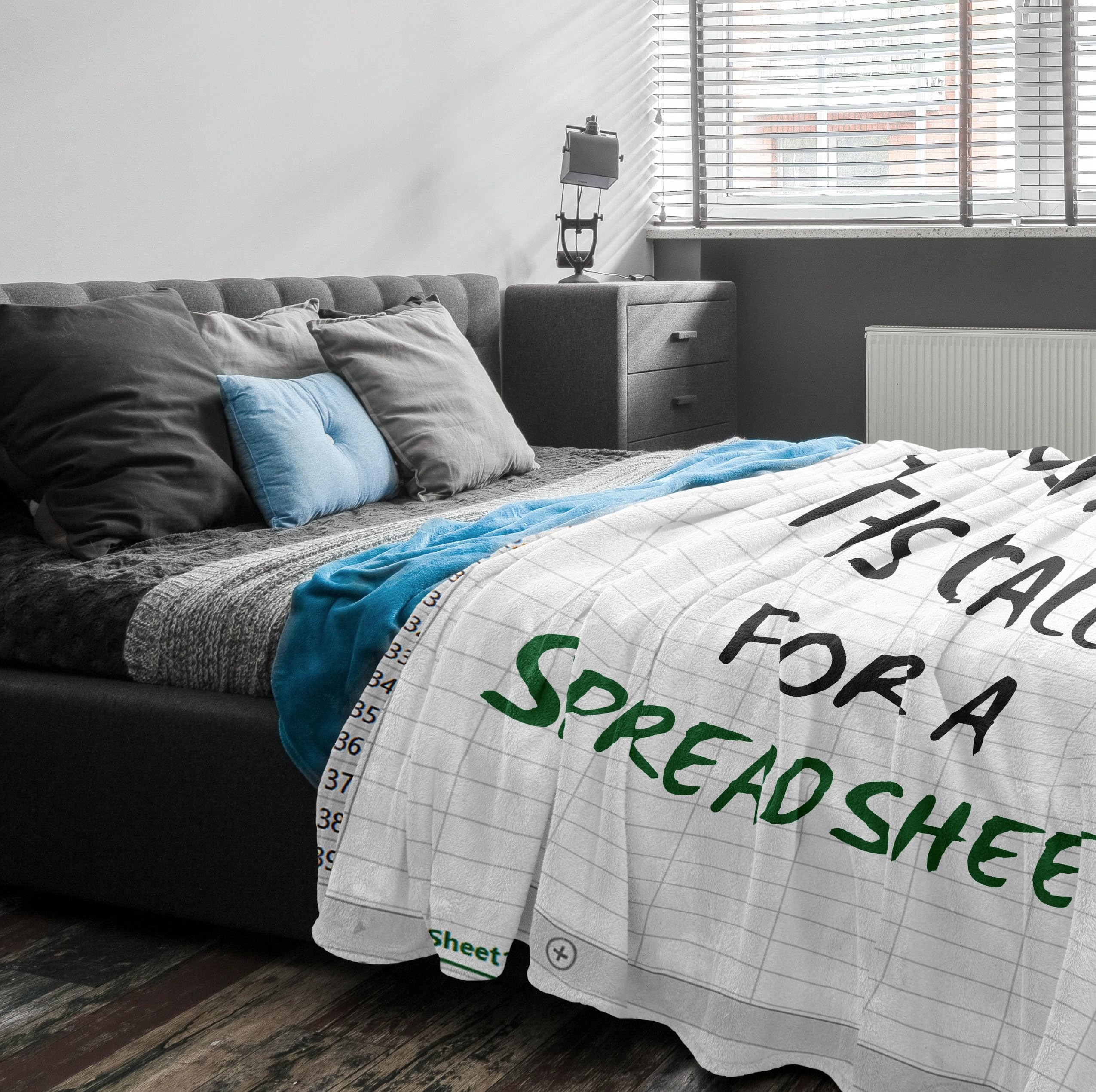 Accountant Gifts for Women/Men, Spreadsheet Gifts Funny, Gift for Accountants, Accounting Gift for Coworkers/Boss/Colleague/Friend, CPA Gifts, Excel Blanket 60"x50"
