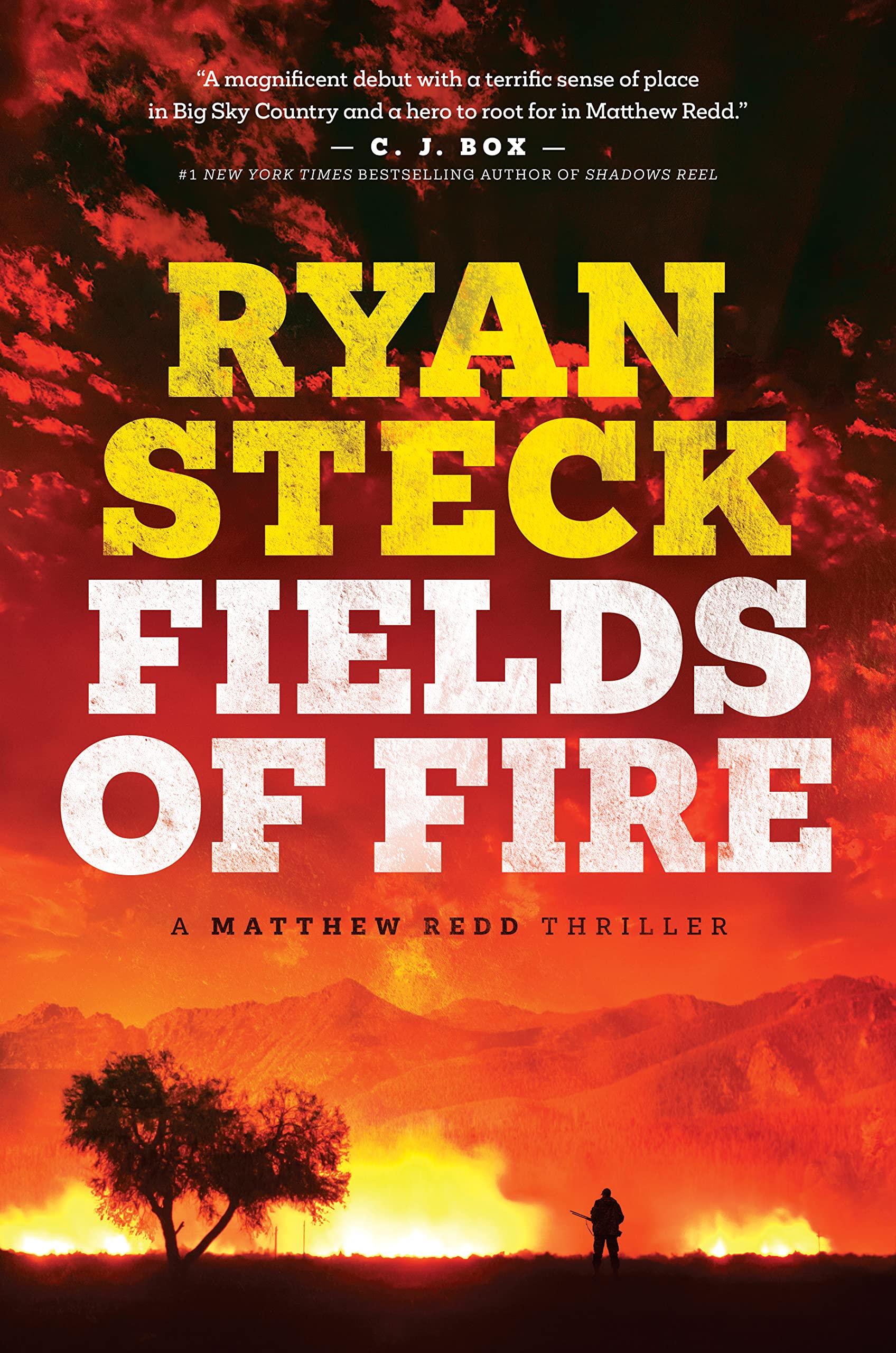 Fields of Fire (A Matthew Redd Thriller Book 1)