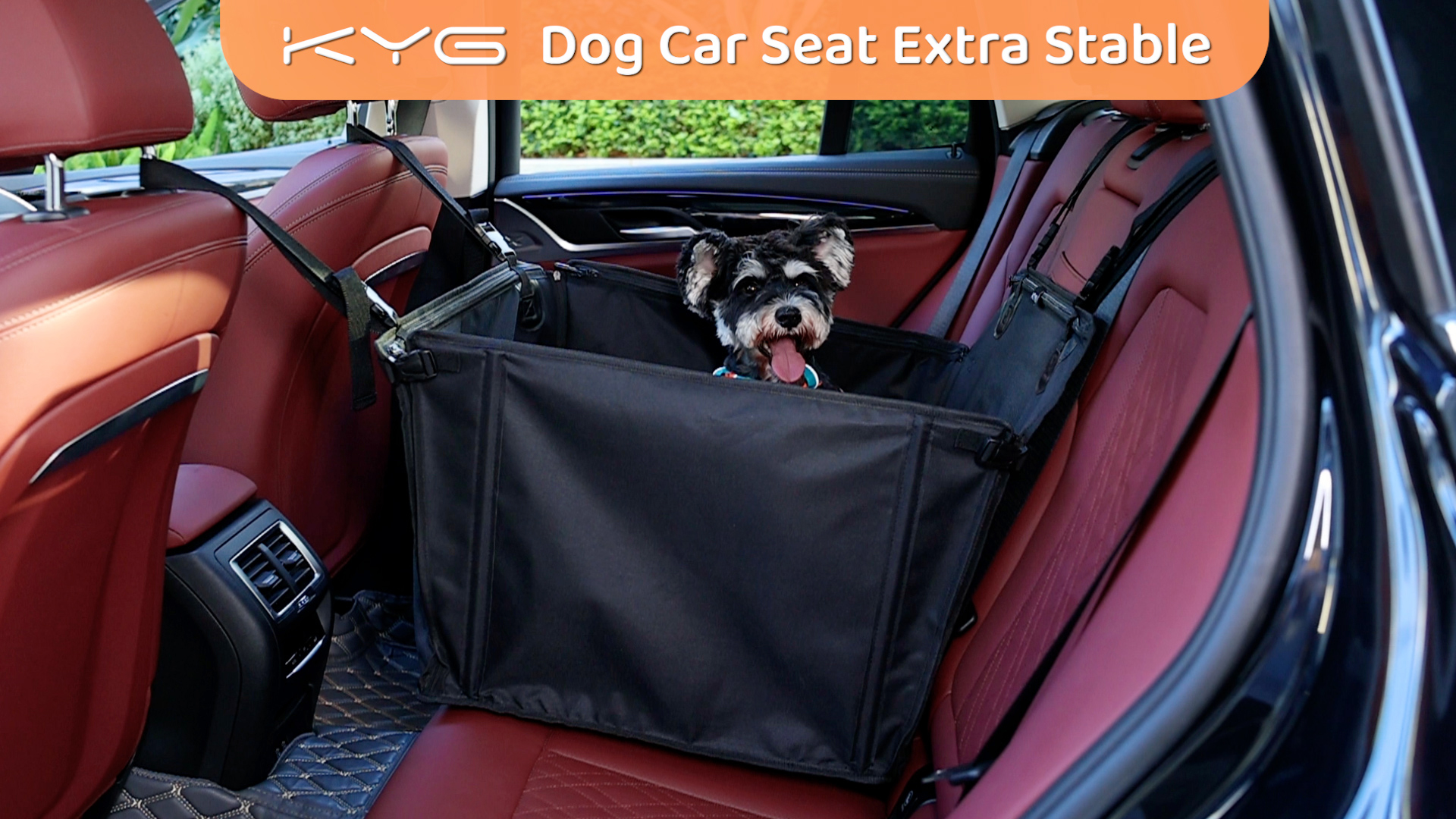Stabiele Reisbench Voor Hond KYG Hondenautostoel, Waterdicht, Antislip, Krasbestendig, Met 4 Bevestigingsriemen, Voor De Achterbank, Versterkte Hondenstoel, Auto, Voor Middelgrote Draagvermogen 26 Kg Waterdicht En Antislip
