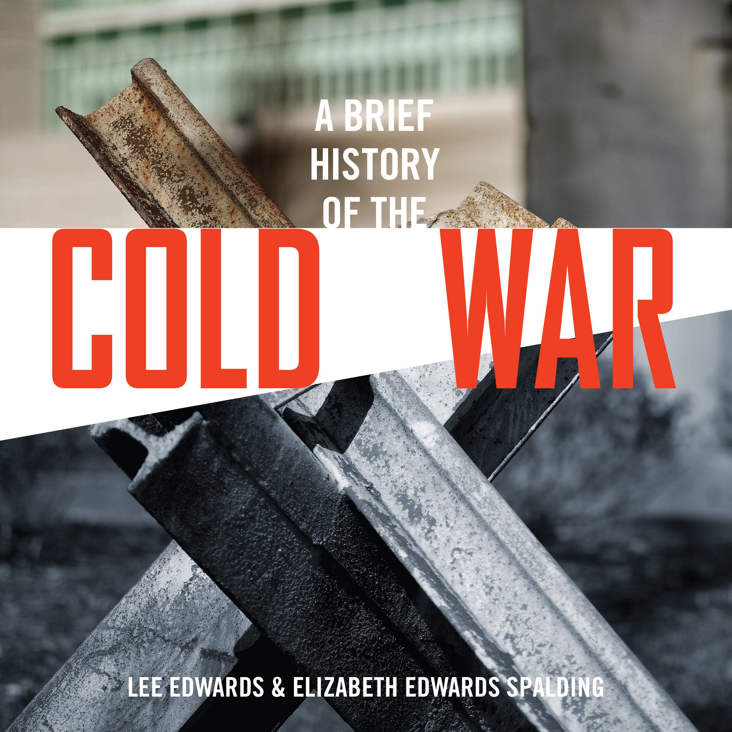 Cover art for A Brief History of the Cold War