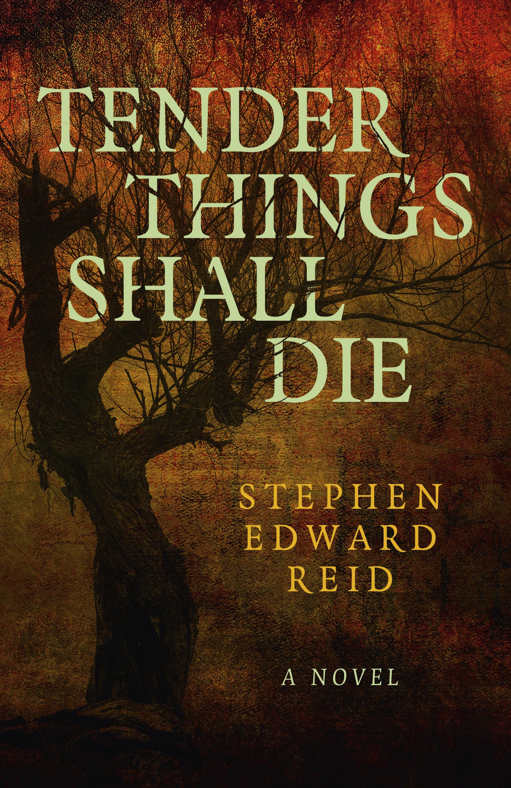 Tender Things Shall Die: A Novel by Stephen Edward Reid PAPERBACK 9781803412696