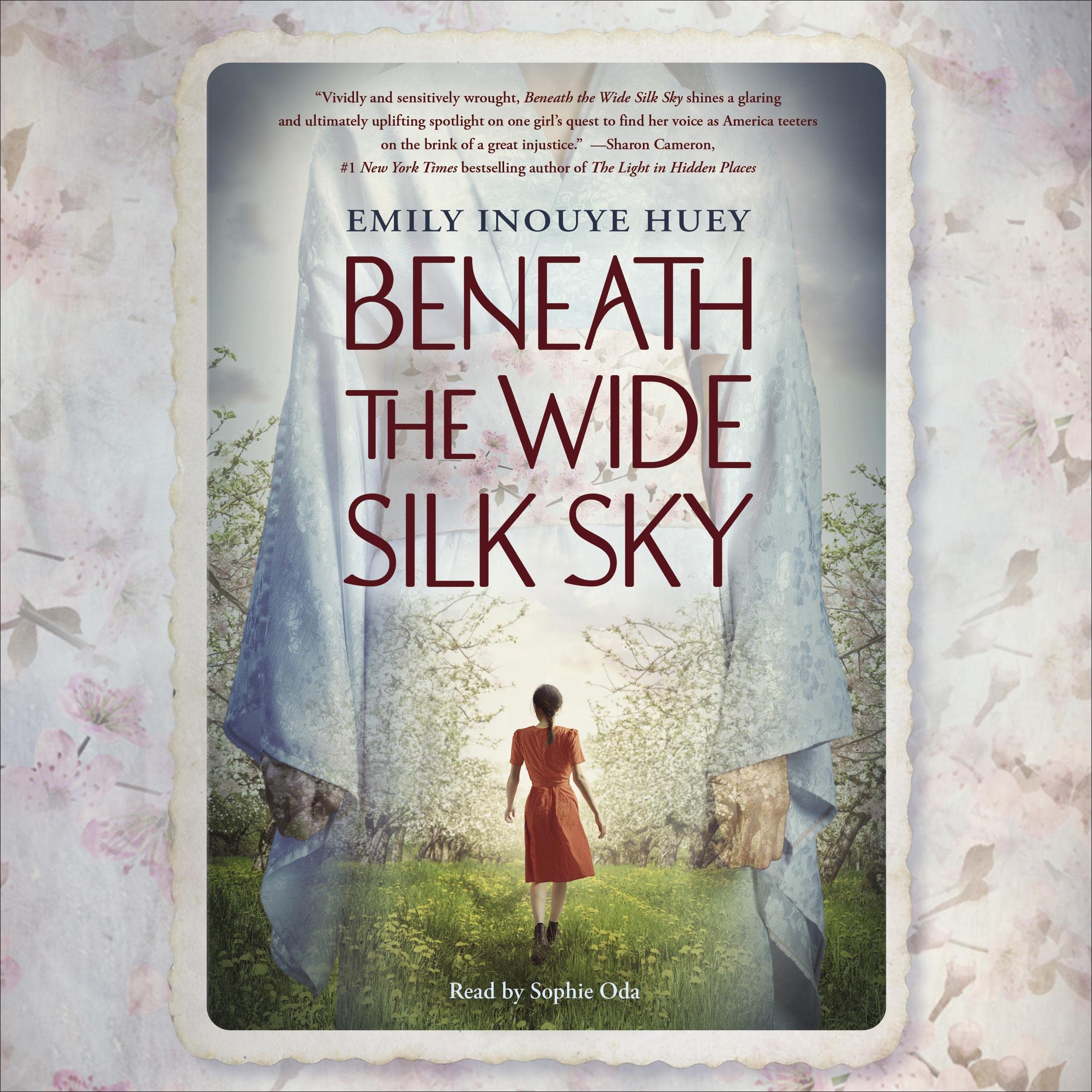 Cover art for Beneath the Wide Silk Sky