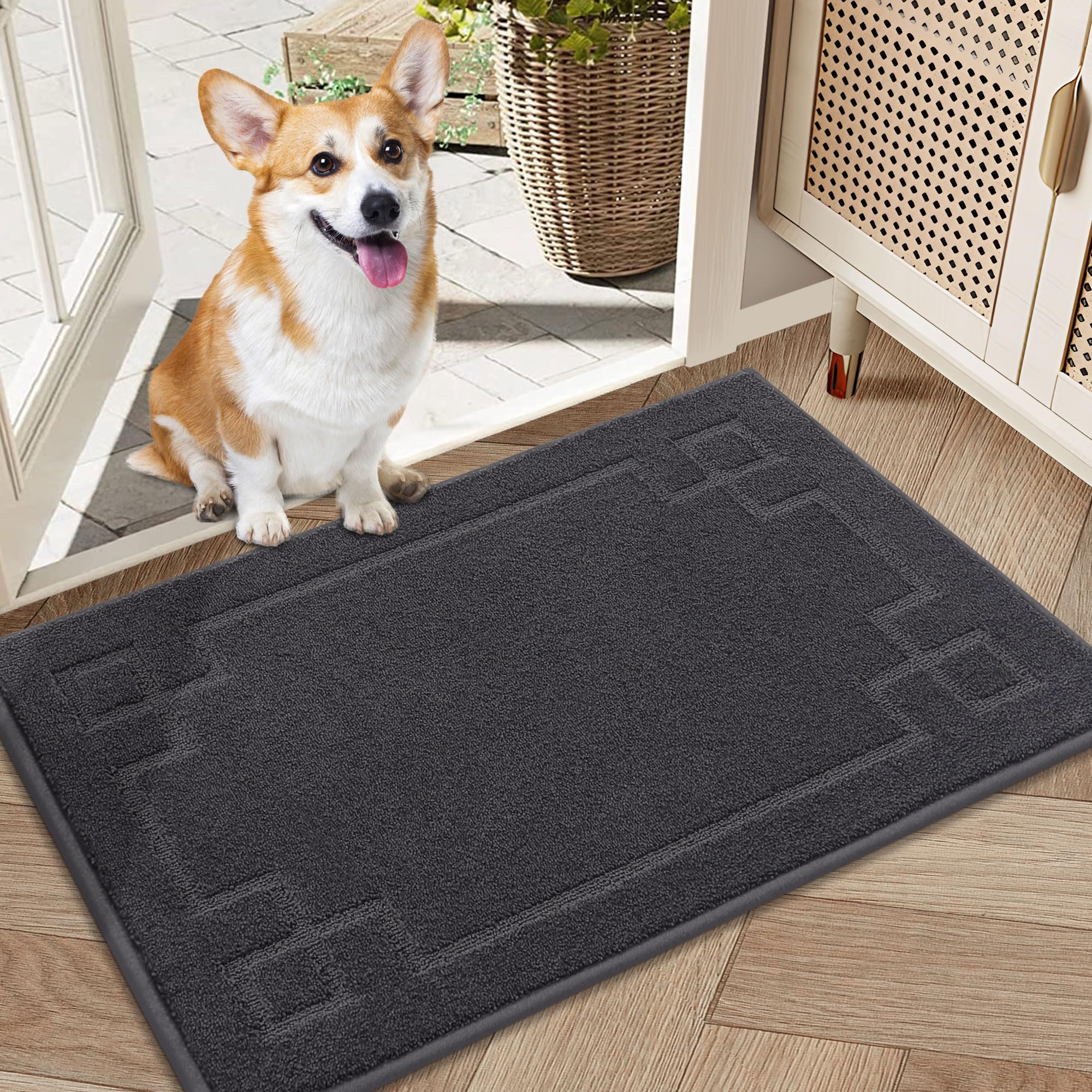 BEQHAUSE Door Mat Indoor, 50 * 80 cm Floor Mats, Non-Slip Indoor Mat Suitable for Front and Rear Doors Entrances, Corridors