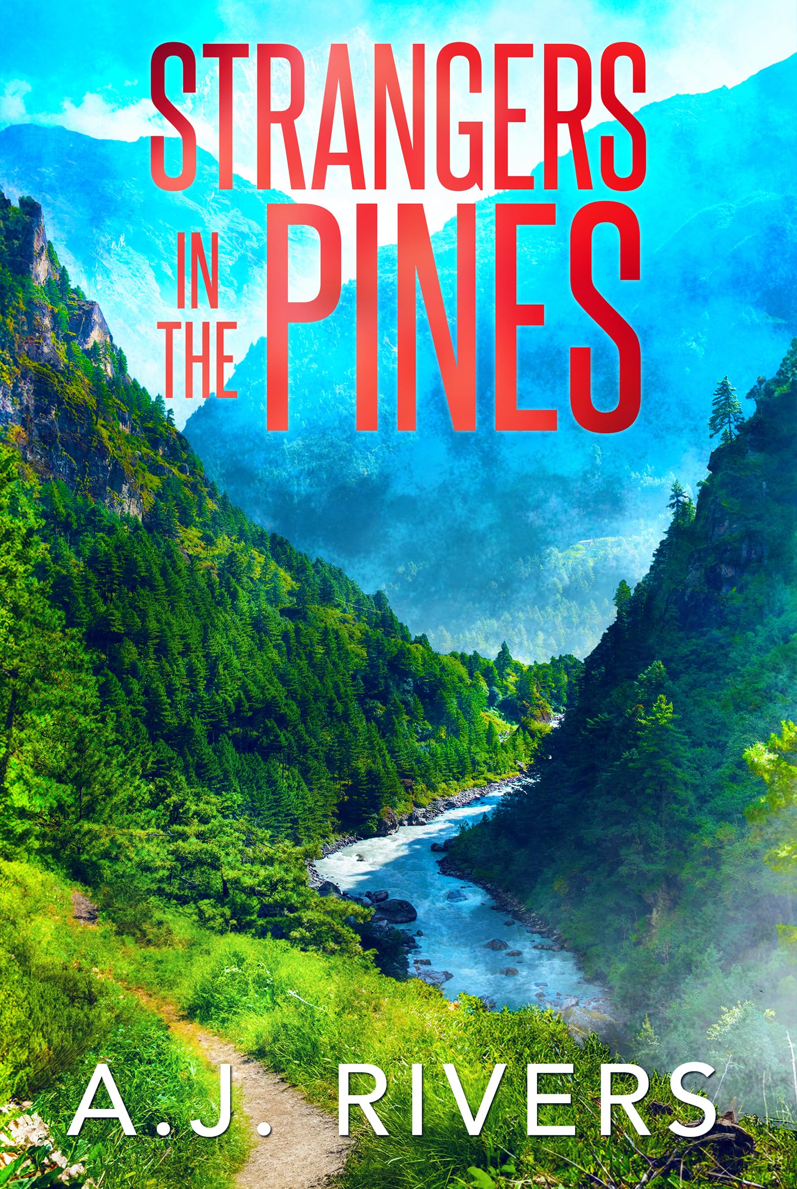 Strangers in the Pines (A Detective Riley Quinn Pine Brooke Mystery Book 3)