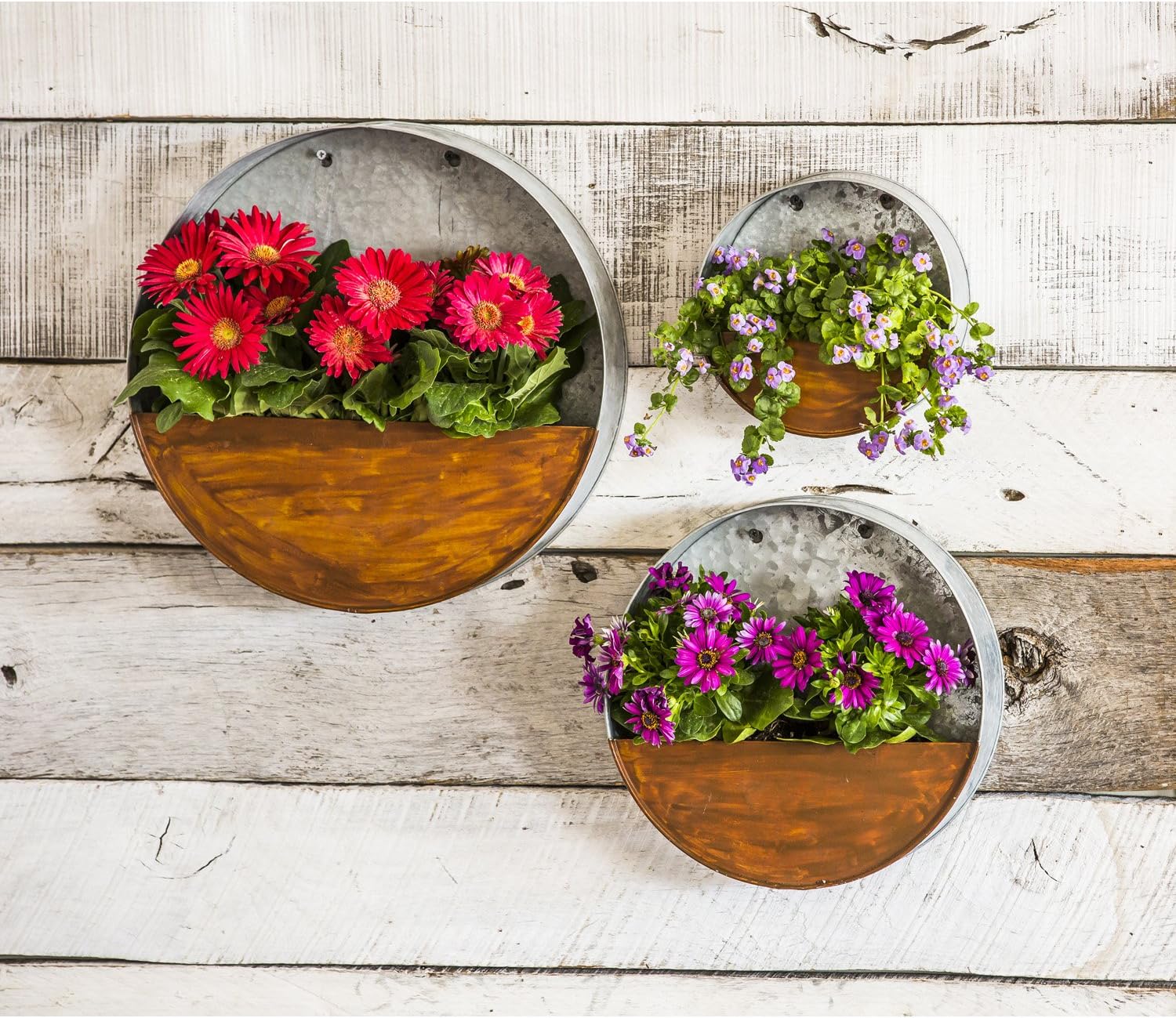 Evergreen Garden 15-inch Galvanized Metal Circle Wall Planter