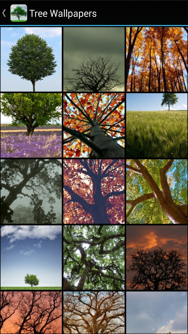 Tree Wallpapers - App on Amazon Appstore