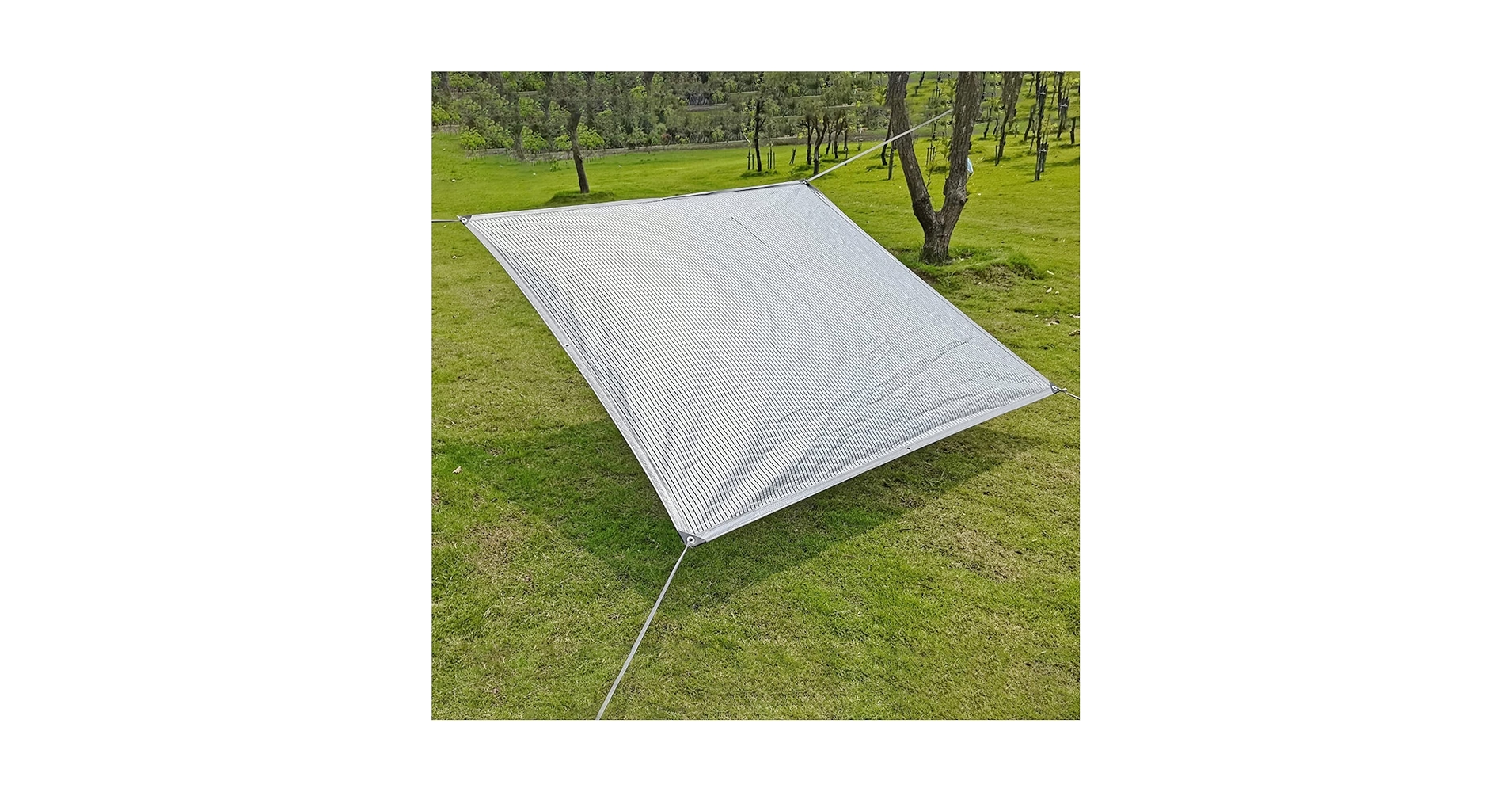 【限定品】T no T x TARP to TARP Valo Shade 抽選販売】T no T x TARPtoTARP ⁡ 