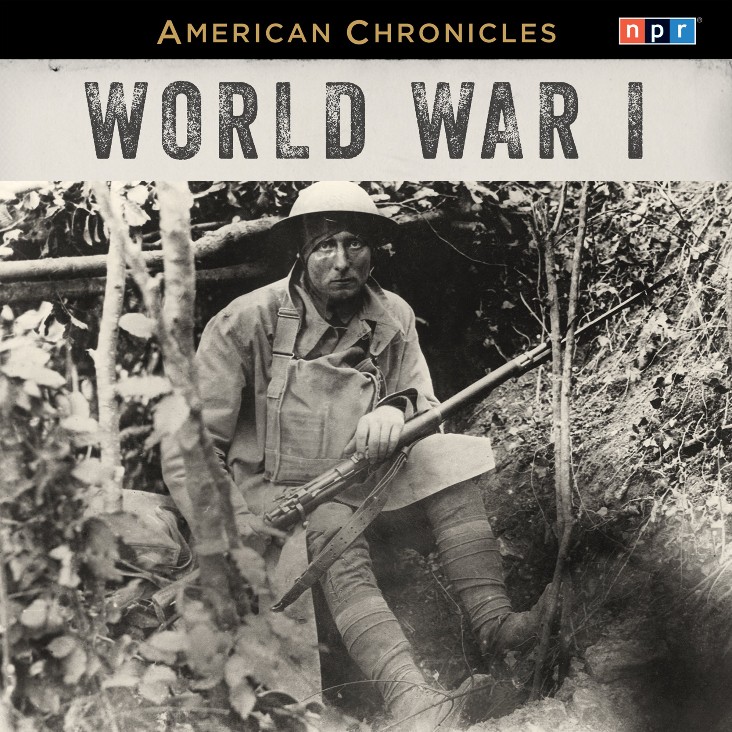 Cover art for NPR American Chronicles: World War I