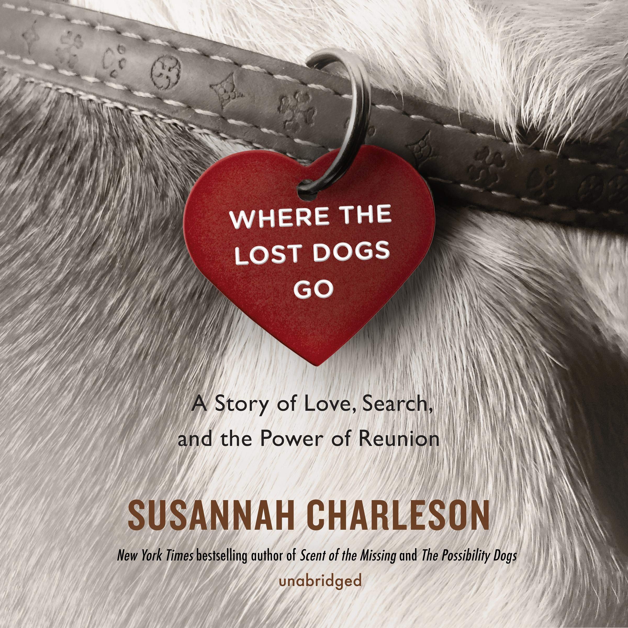 Cover art for Where the Lost Dogs Go