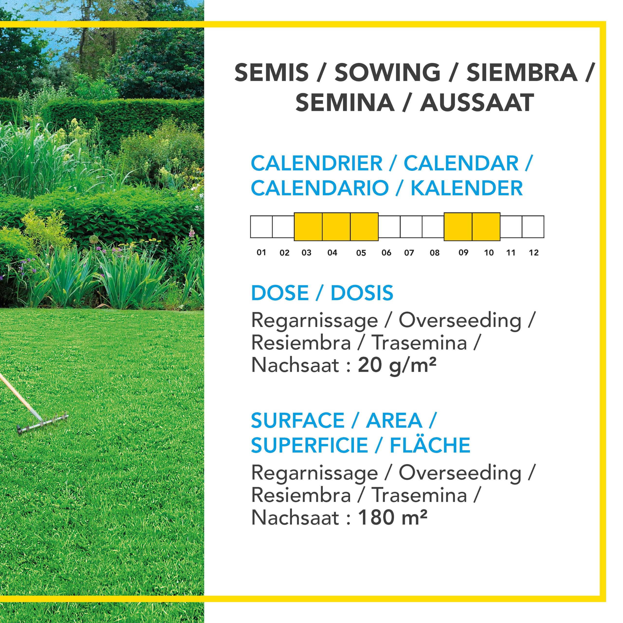 BARENBRUG - Cuidado Renovador Densificante - Densifica y Rejuvenece el Césped - Germina Muy Rápido - Semillas con Recubrimiento - Fabricado en Francia - 3 Kg
