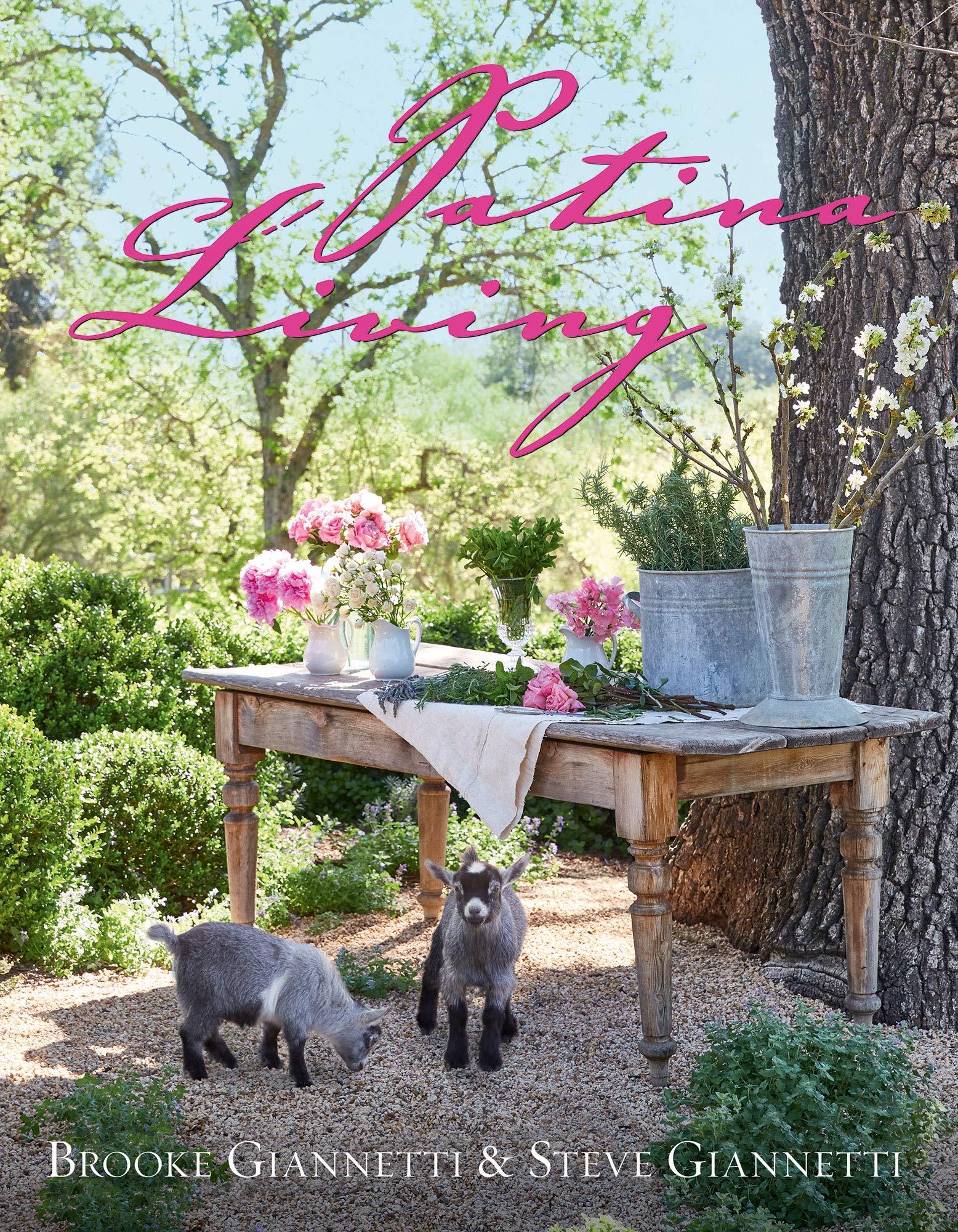 Patina Living Hardcover – Illustrated, 16 April 2019