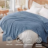 Vista 104 de Bedsure GentleSoft Twin Blanket for Couch - Cozy Soft Blankets for Women, Cute Small Fleece Throws for Girls, Light Grey, 60x80 Inches