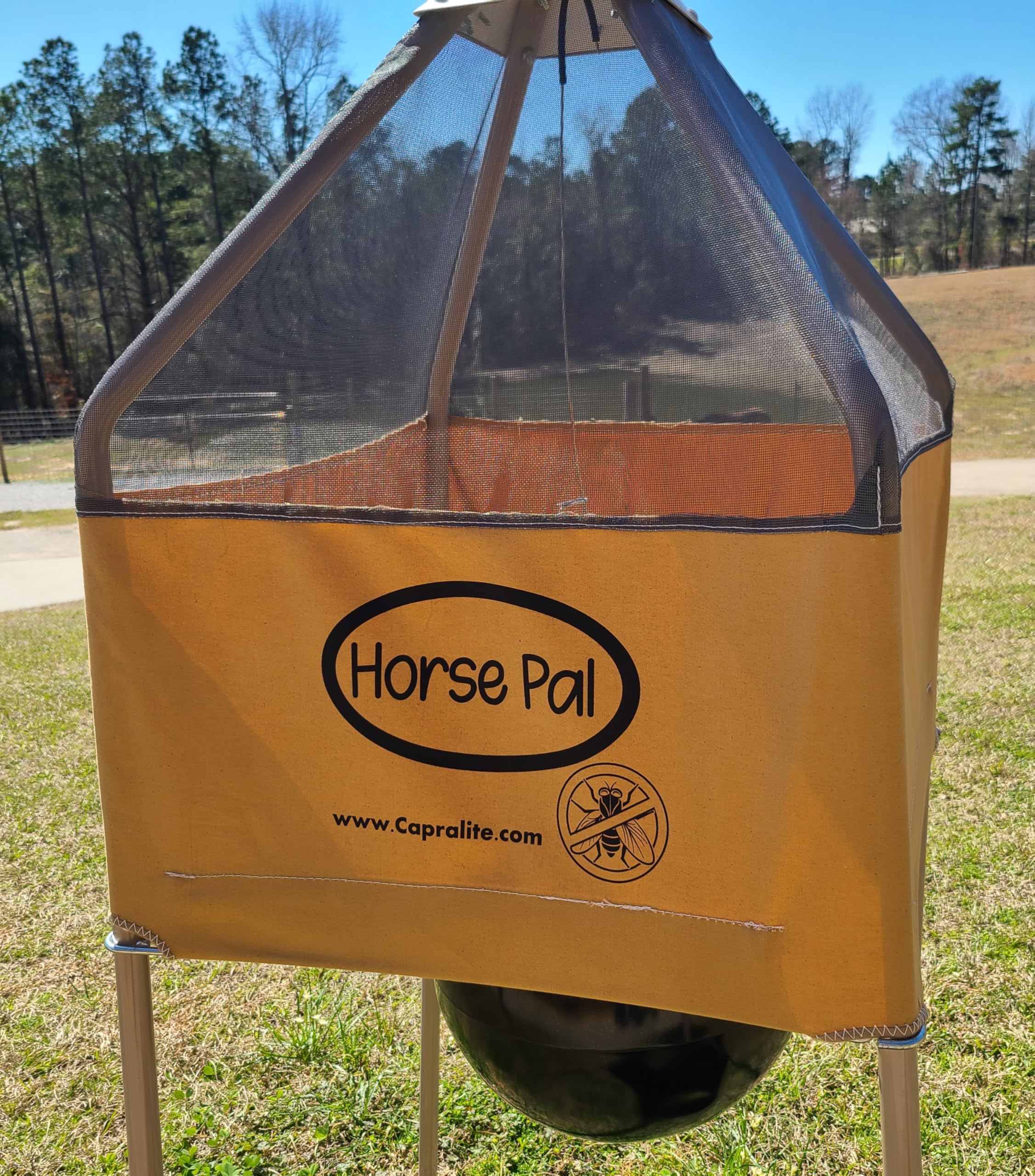 horse fly catcher