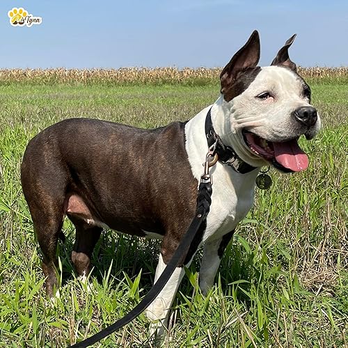 Miniatura 2 de Correa de perro de cuero trenzado de 5.6 pies, correas de cuero de entrenamiento resistente para razas medianas y grandes (negro, 5.6 pies x 34