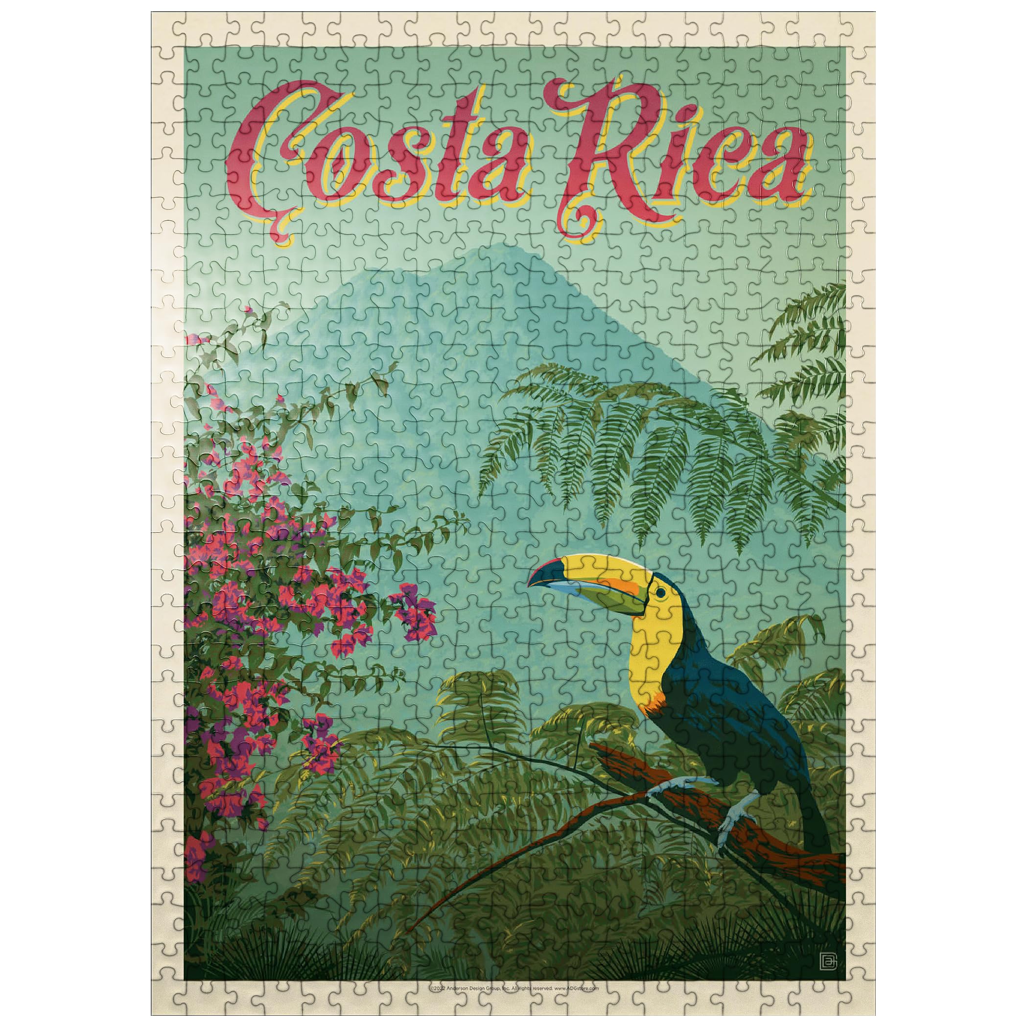 Amazon.com: MyPuzzle Costa Rica: Toucan in The Jungle, Vintage