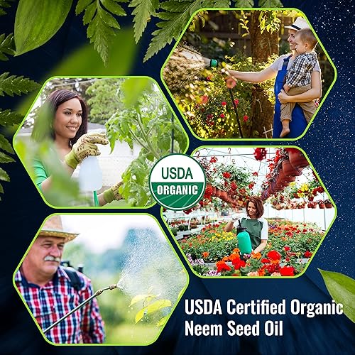 Miniatura 8 de MILANIA Aceite de neem orgánico prémium virgen (16 onzas líquidas), prensado en frío, sin refinar, 100% puro grado natural A. Excelente calidad.