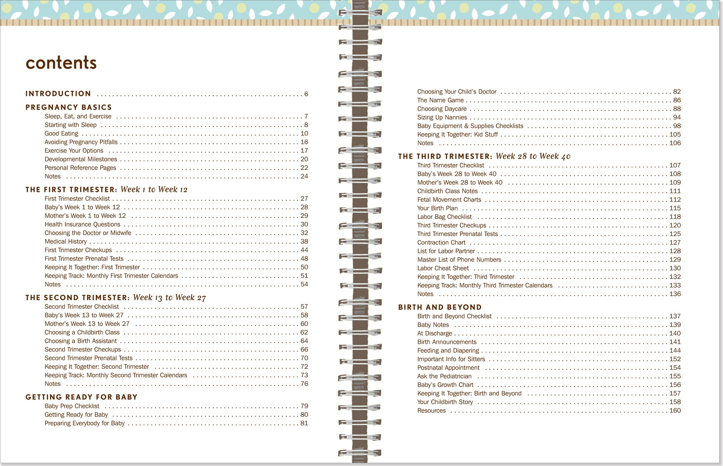 The Ultimate Pregnancy Organizer: An Interactive Guide to Managing Your Journey to Parenthood
