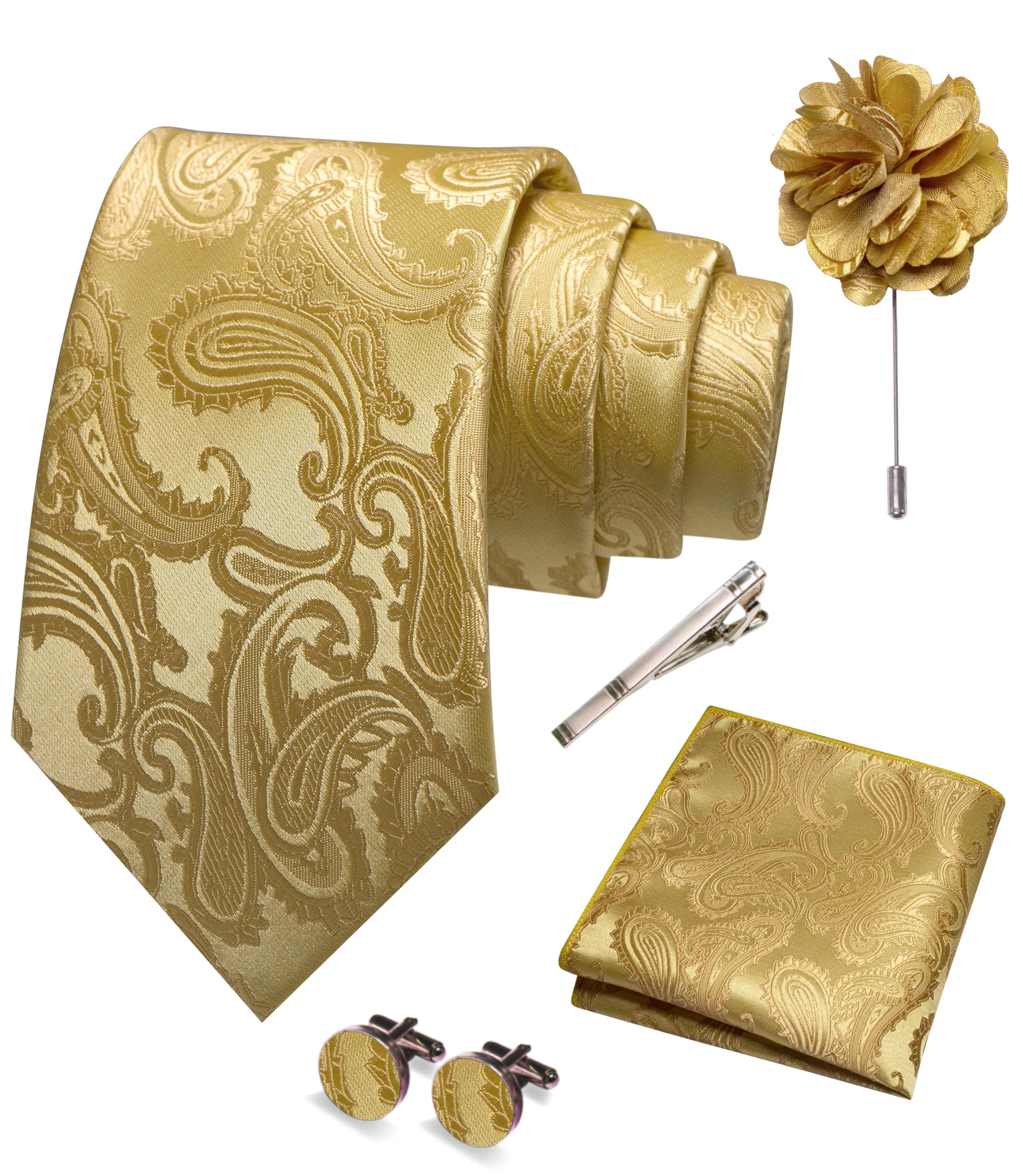 JEMYGINS Mens Paisley Tie and Pocket Square,Lapel Pin,Cufflinks,Tie Clip Sets with Gift Box 5PCS