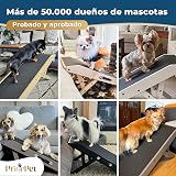 Ver la foto 8