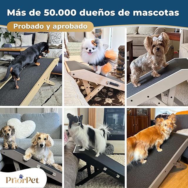 Foto 8 de 8 de Rampa para Perros pequeños o Grandes - Ajustable 18-53 cm - para Cama y sofá - Madera de Abedul