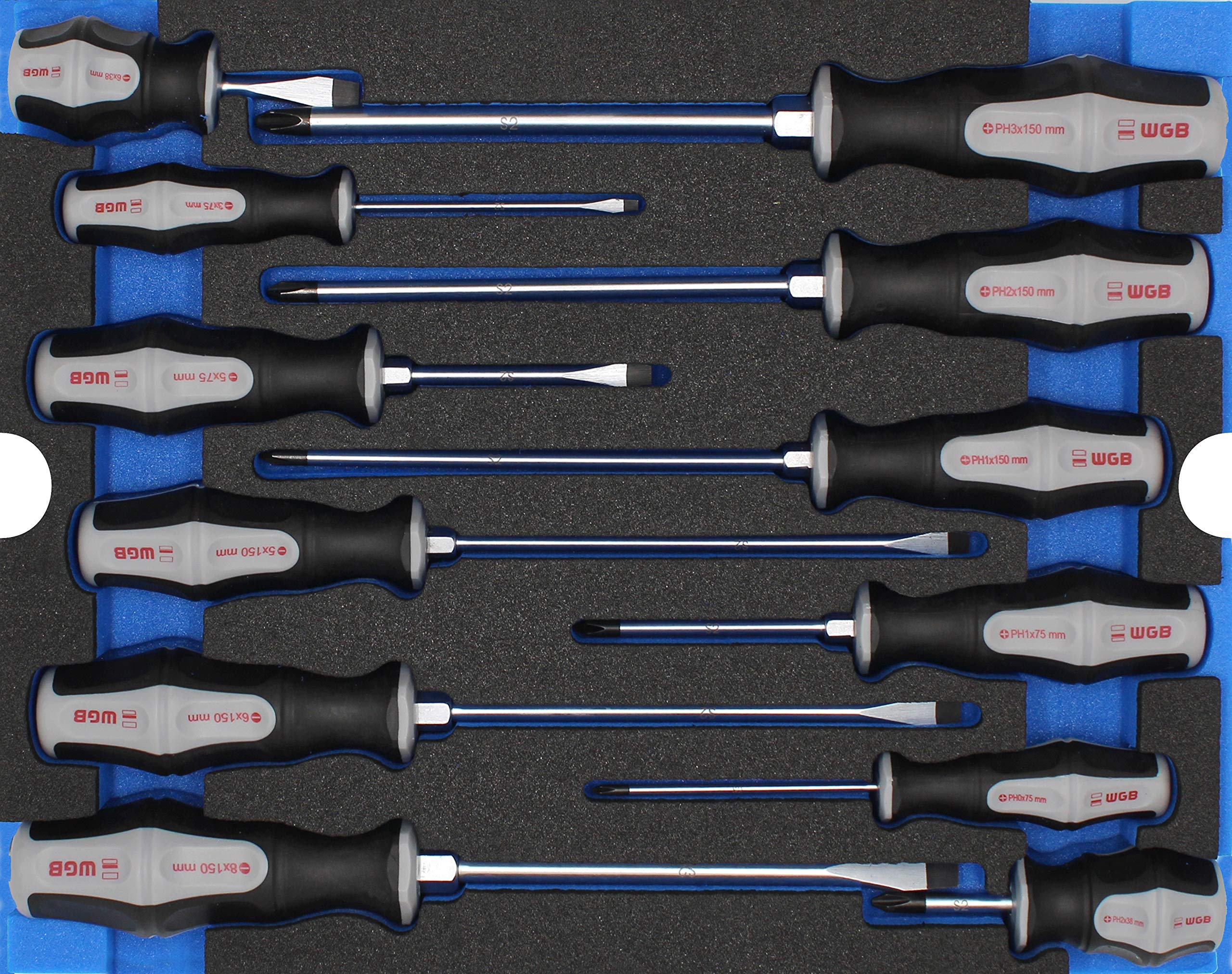 WGB Das WerkzeugScrewdriver Set in Workshop Trolley Insert 12 Pieces | Filled with Slotted and Phillips Screwdriver in Short and Long Design | Hand Tools Module 6240