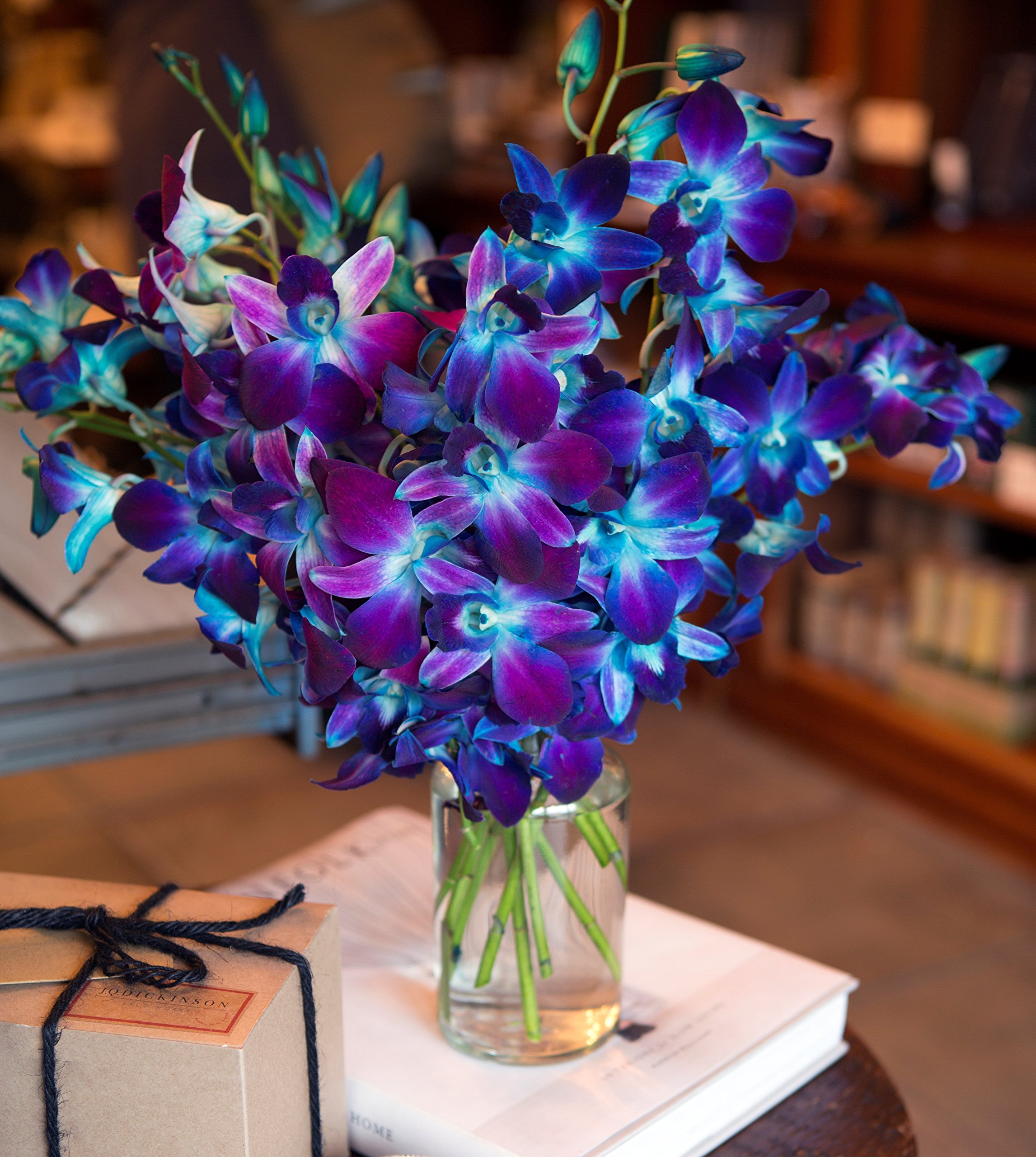 KaBloom - 10 White Orchid Without Vase - Fresh Flowers for Birthday, Valentine's & Mother's Day: Blue 20 With Vase