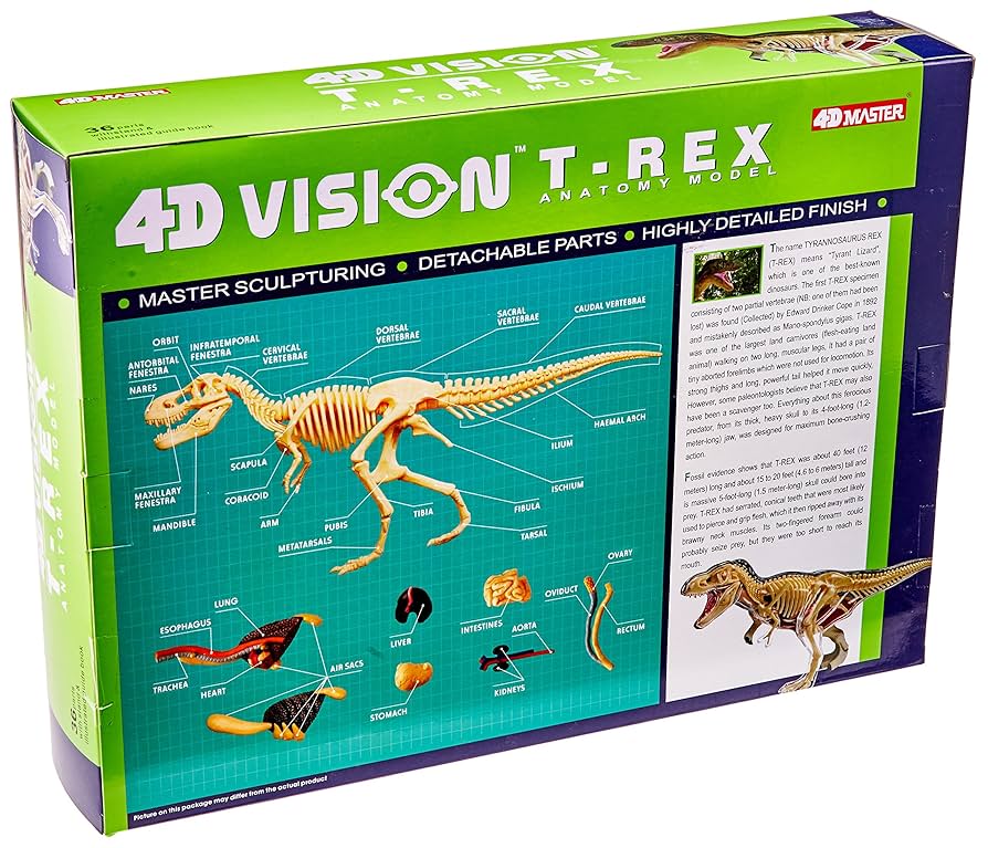 Amazon | 恐竜 T-Rex 動物 解剖 骨 模型 立体 モデル 4D 教材