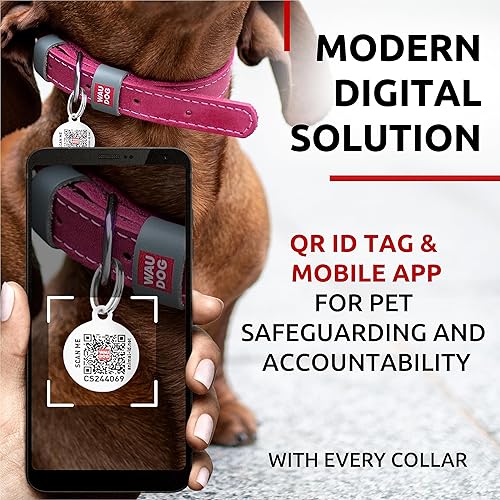 Miniatura 5 de WAUDOG Collar de cuero de larga duración para perros grandes, medianos y pequeños  Collares clásicos ajustables para cachorros de raza grande