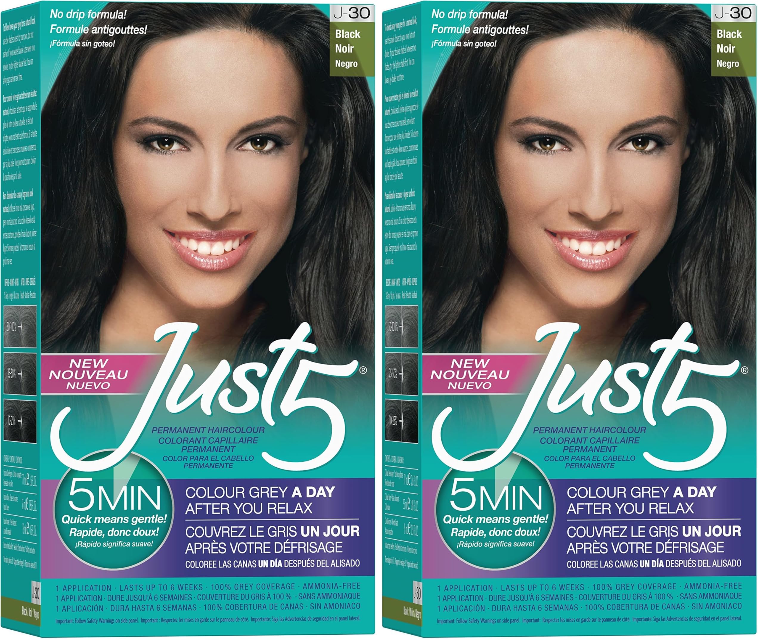 Just 5 Women's 5 Minute Permanent Hair Color with Conditioner, Grey Hair Coloring for Women - Black (Pack of 2)