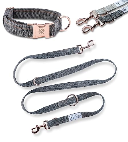 Jack & Russell Bradley - Correa de 2 m + collar Cody - Gris oscuro - S/M, moteado