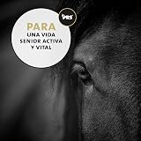 Ver la foto 6