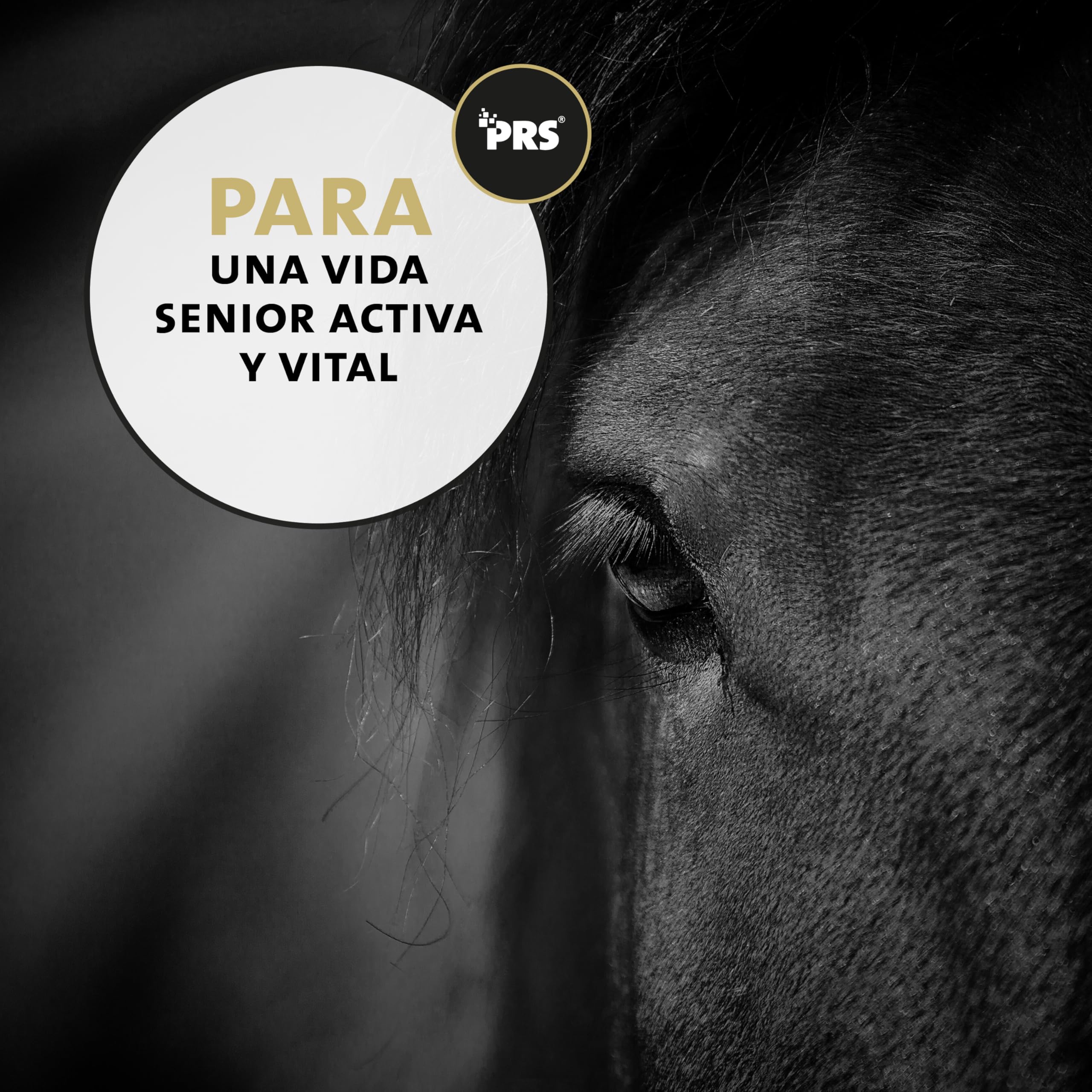 Peticare Senior Polvo para Caballos | Promueve la vitalidad, Movilidad en la vejez | Ingredientes de Origen Vegetal, con L-leucina, MSM | para Caballos Senior y Ponis Mayores | petHorse Health 4603