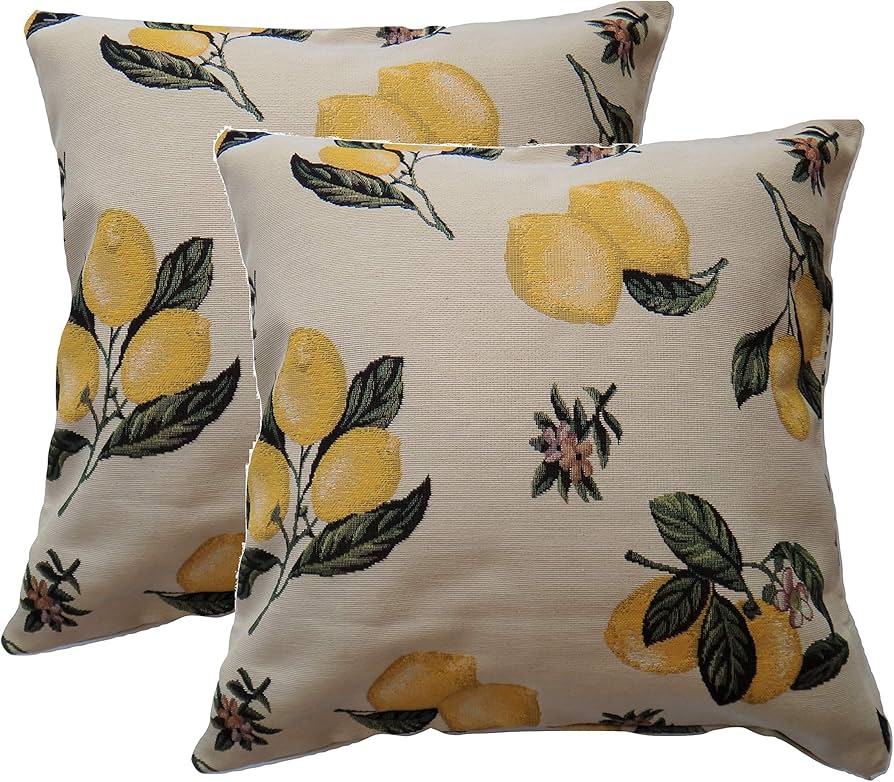 Amazon.co.jp: VEGATEX(ベガテックス)クッションカバー 45 x 45cm 2枚