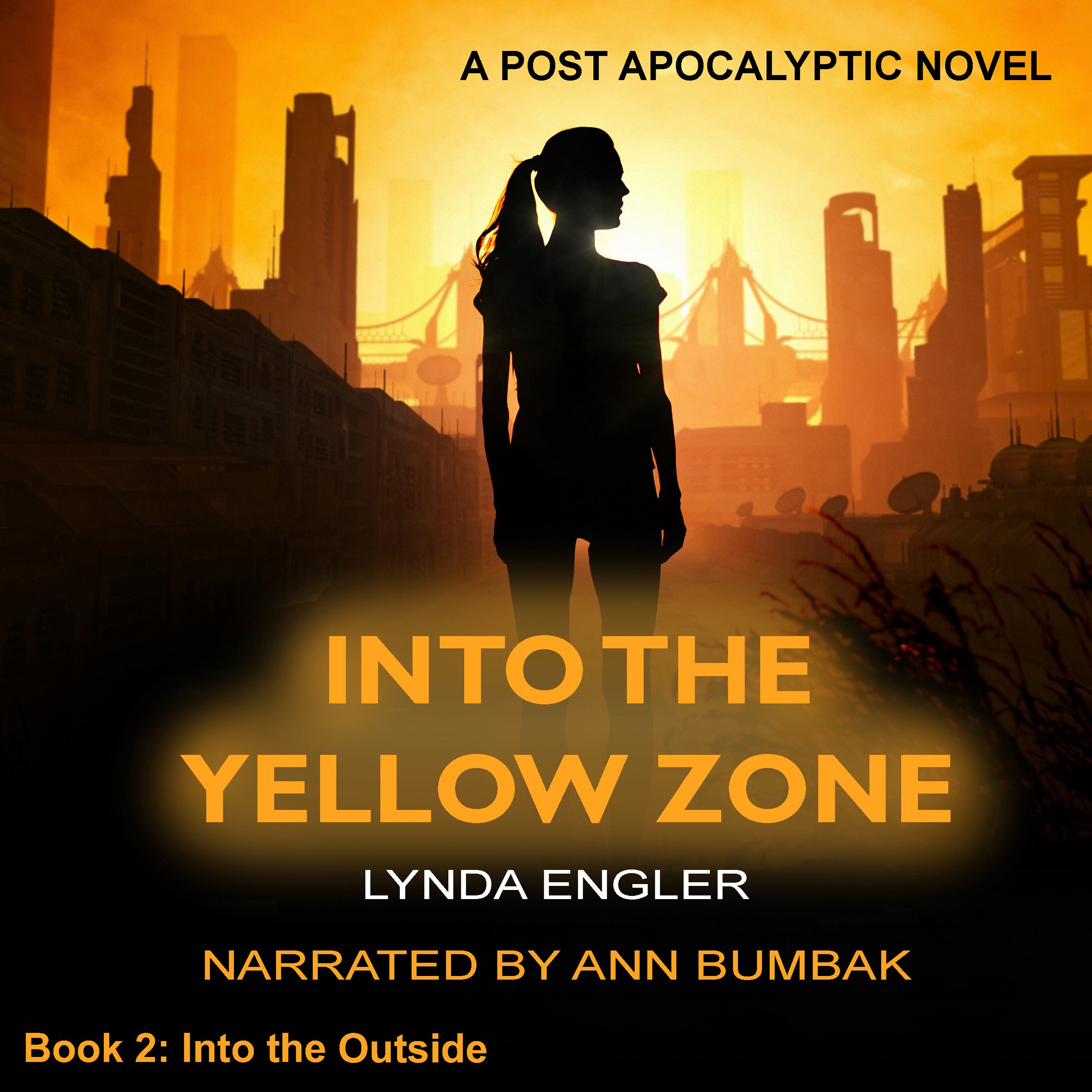Cover art for Into the Yellow Zone