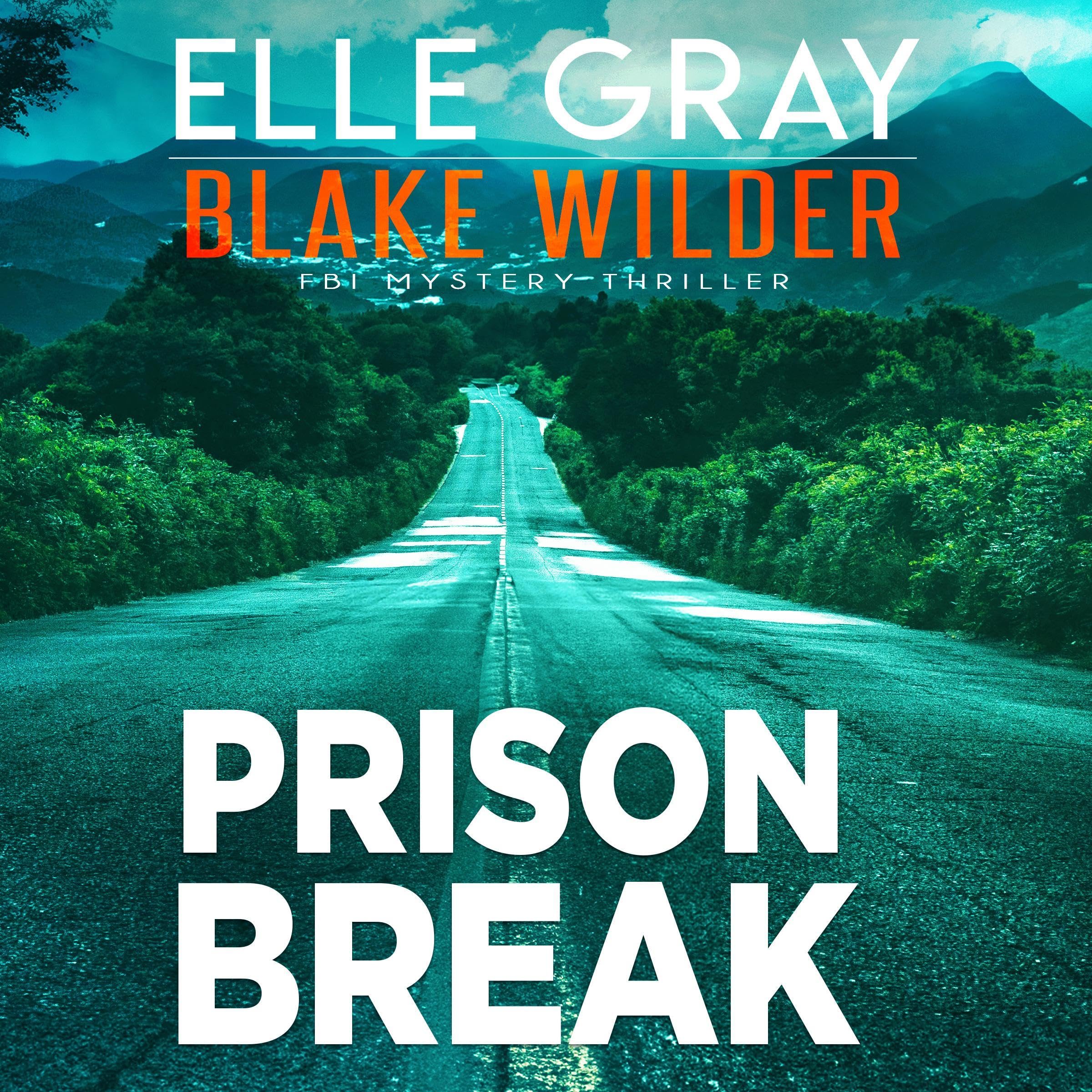Cover art for Prison Break