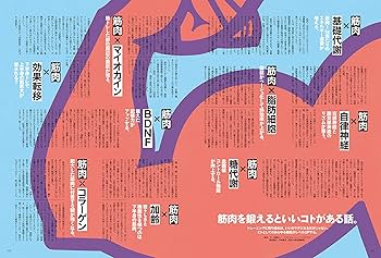 筋トレ 本 まとめ売り 39冊 筋トレ 本 まとめ売り 39冊 - メルカリ