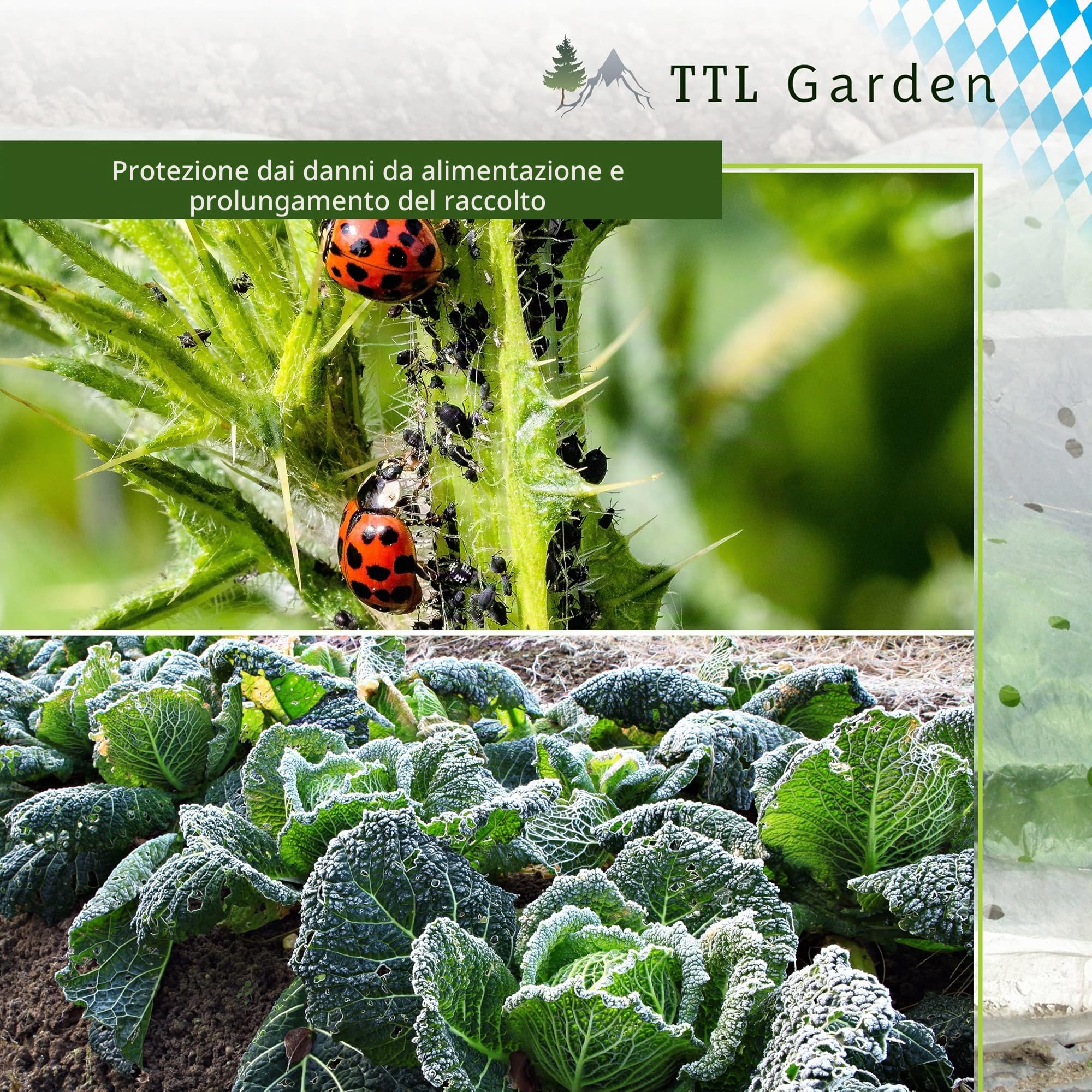TTL Garden - Set di 12 fogli a tunnel da 65 x 60 cm, in acciaio rivestito, larghezza 65 cm, arco rotondo per copertura, aiuola rialzata, stabile e antiruggine