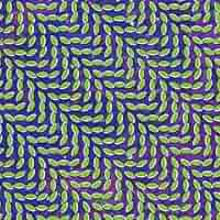 米、欧2LP Animal Collective Merriweather Post Pavilion WIGLLP216X Domino /00520 Merriweather Post Pavilion | Animal Collective