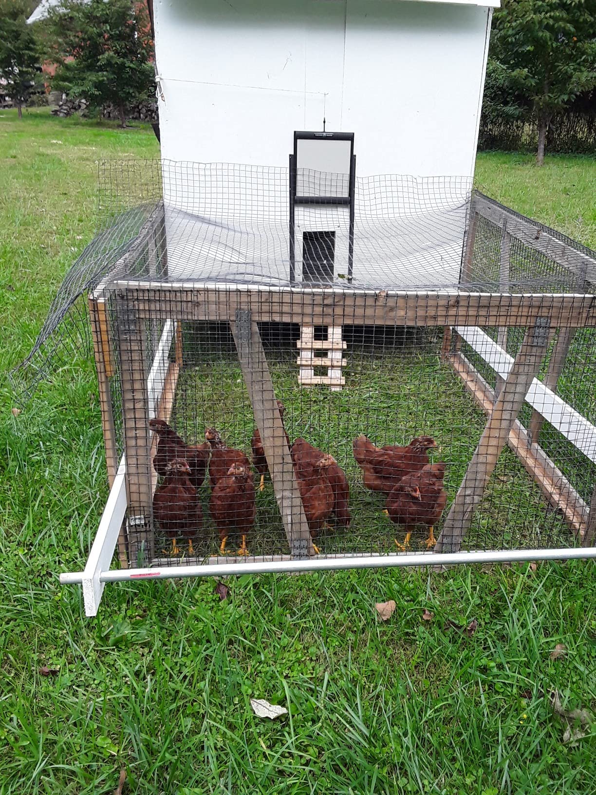 12/mo Finance ChickenGuard Self Locking Chicken Coop Door, Predator