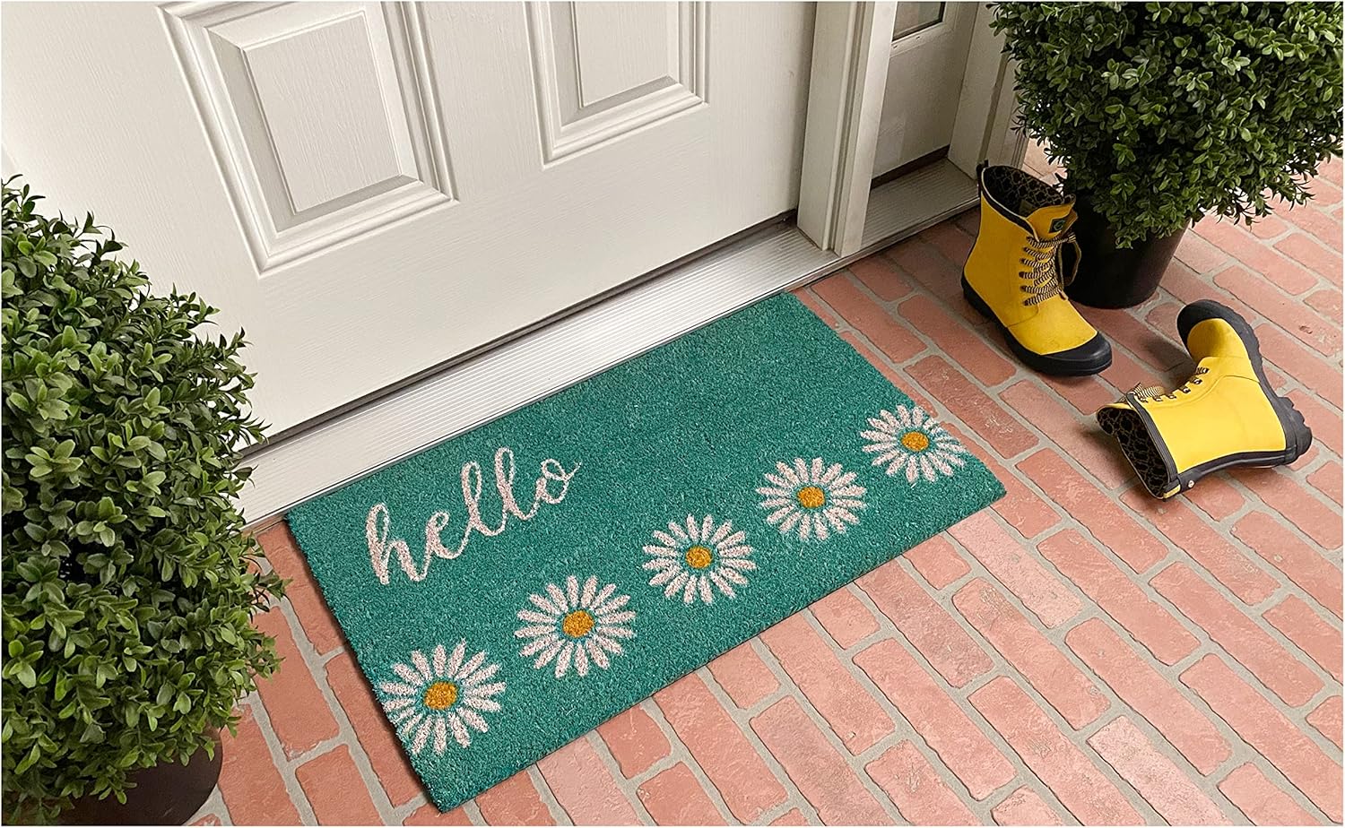 Calloway Mills Daisy Hello Doormat