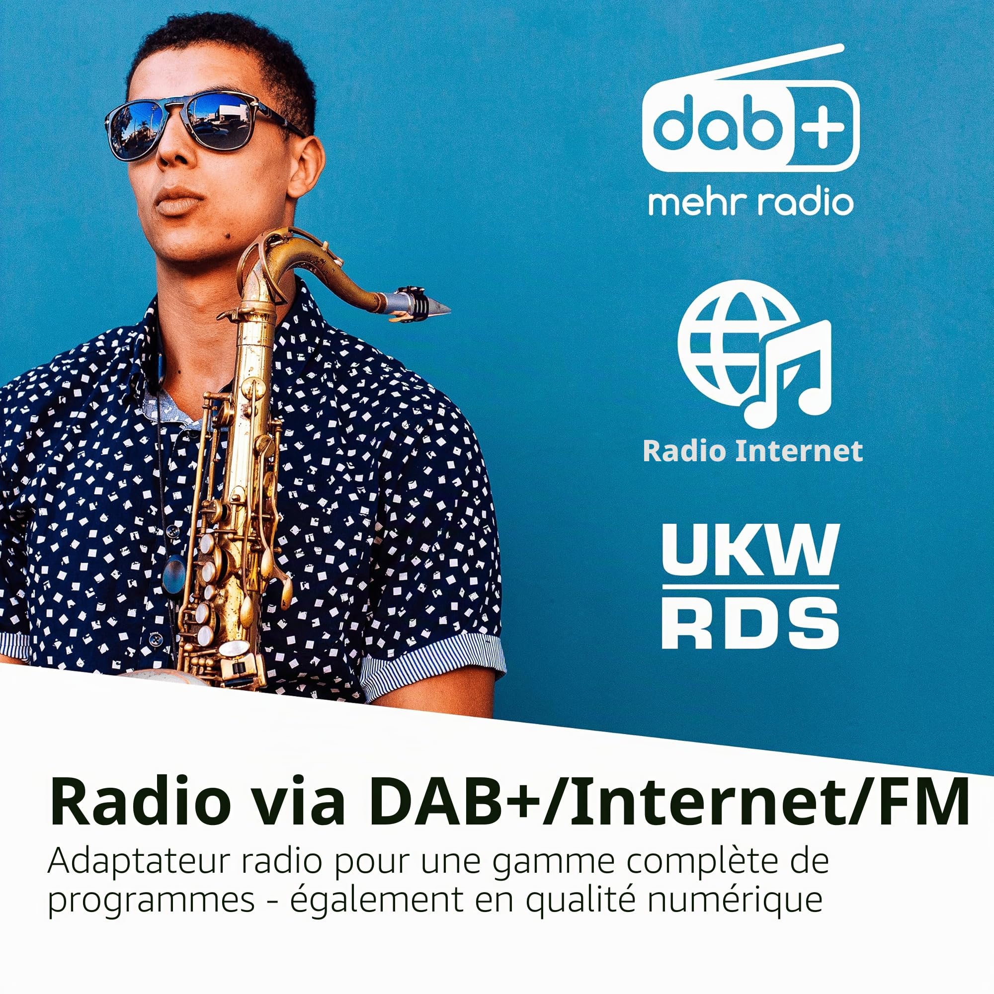 TechniSat DIGITRADIO 11 IR Adaptateur Dab+ et Radio Internet (Wi-FI, écran Couleur, Bluetooth, télécommande, réveil, sans Haut-Parleur, idéal pour la Mise à Niveau des systèmes Hi-FI existants)