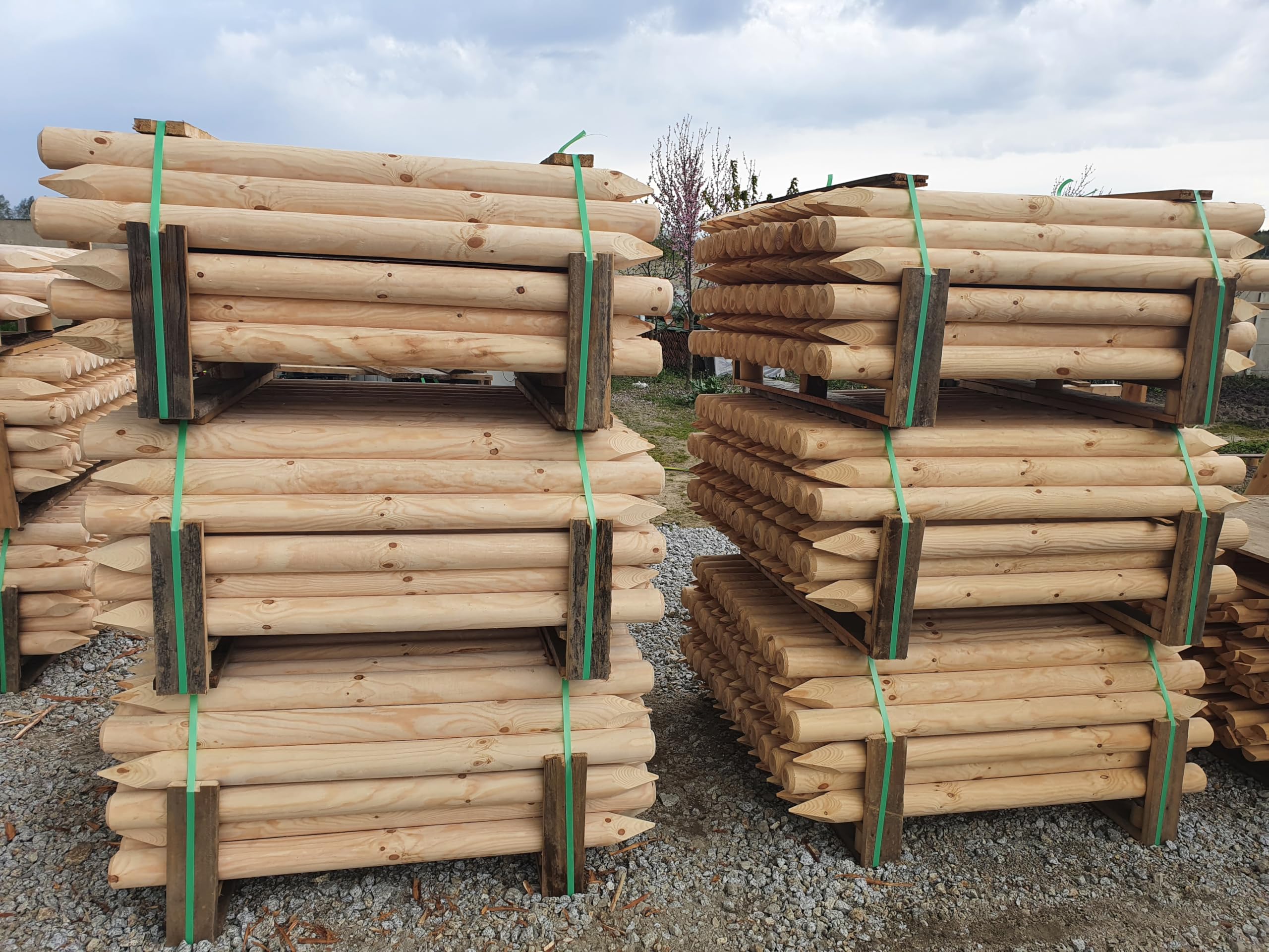 ø 8cm Lot de 2 Piquet Cloture Bois Longueur : 240 cm Poteaux De Clôture De Jardin Non Imprégné Résistant Aux Intempéries Palissade Tuteurs avec Pointe