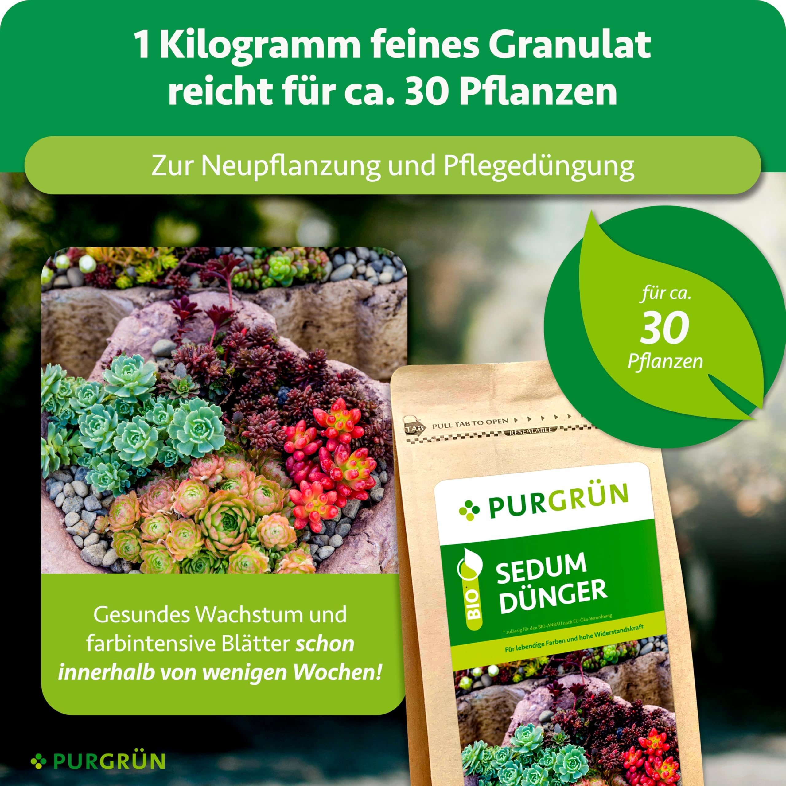 Bio-Sedum-Dünger 1 kg – Organische Rezeptur – Vegan & Bio – Feinkörniges Krümelgranulat – NPK 6+2+7 – Extra Magnesium für leuchtende Blattfärbung – Verbessert die Bodenqualität