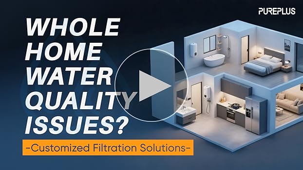 RENECELL Wash Powder 80g 3本　特価 Amazon.com: RENE CELL[Renecell] PLACEN ENZYME SUB-ACID WASH