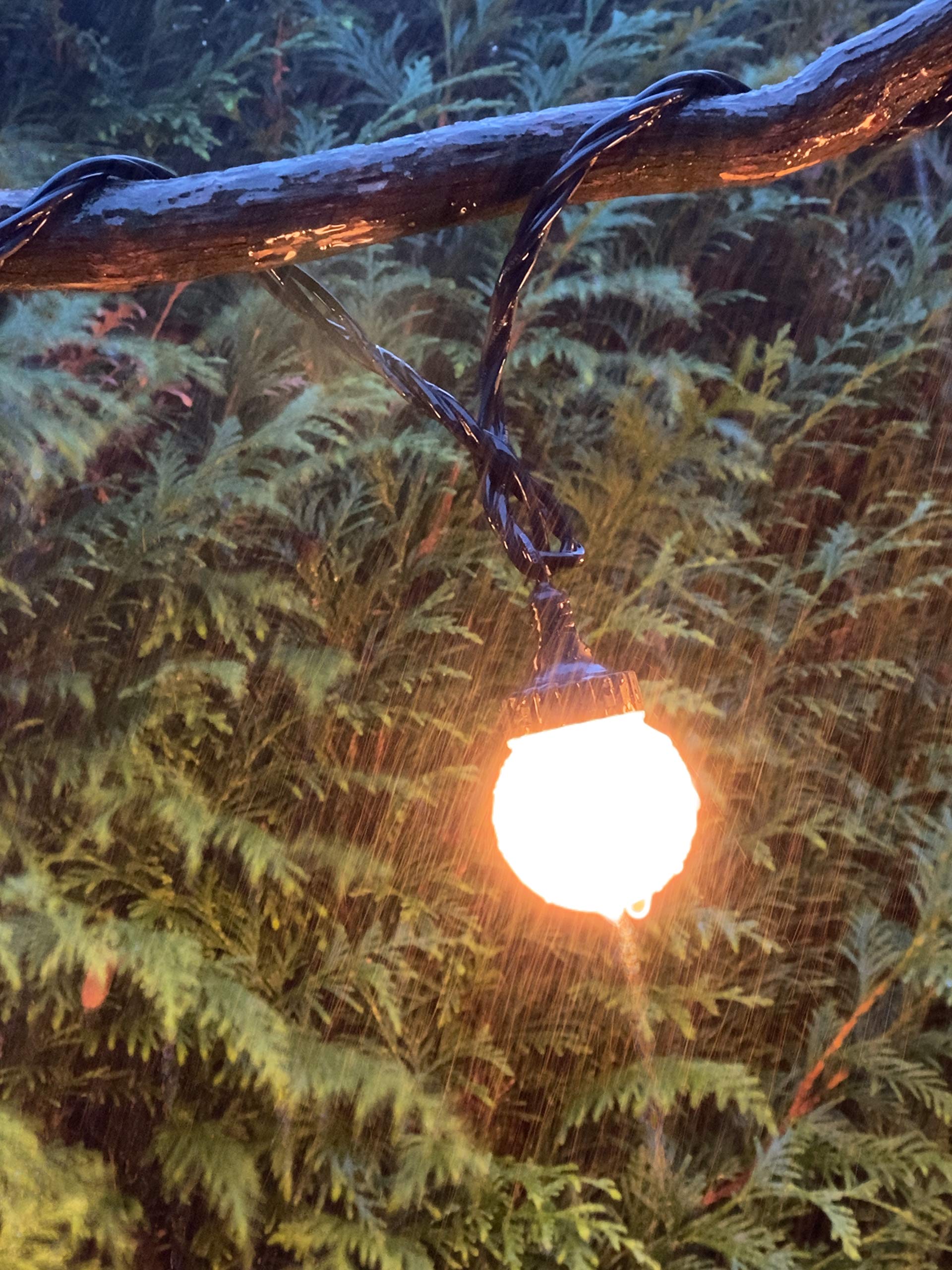 Profi Serie- Catena luminose di lampadina a LED, esterno e interno, con cavo di alimentazione, 5m, 10 lampadine, bianco caldo, Prolungabile, IP67, per giardino, terrazza, balcone, party light